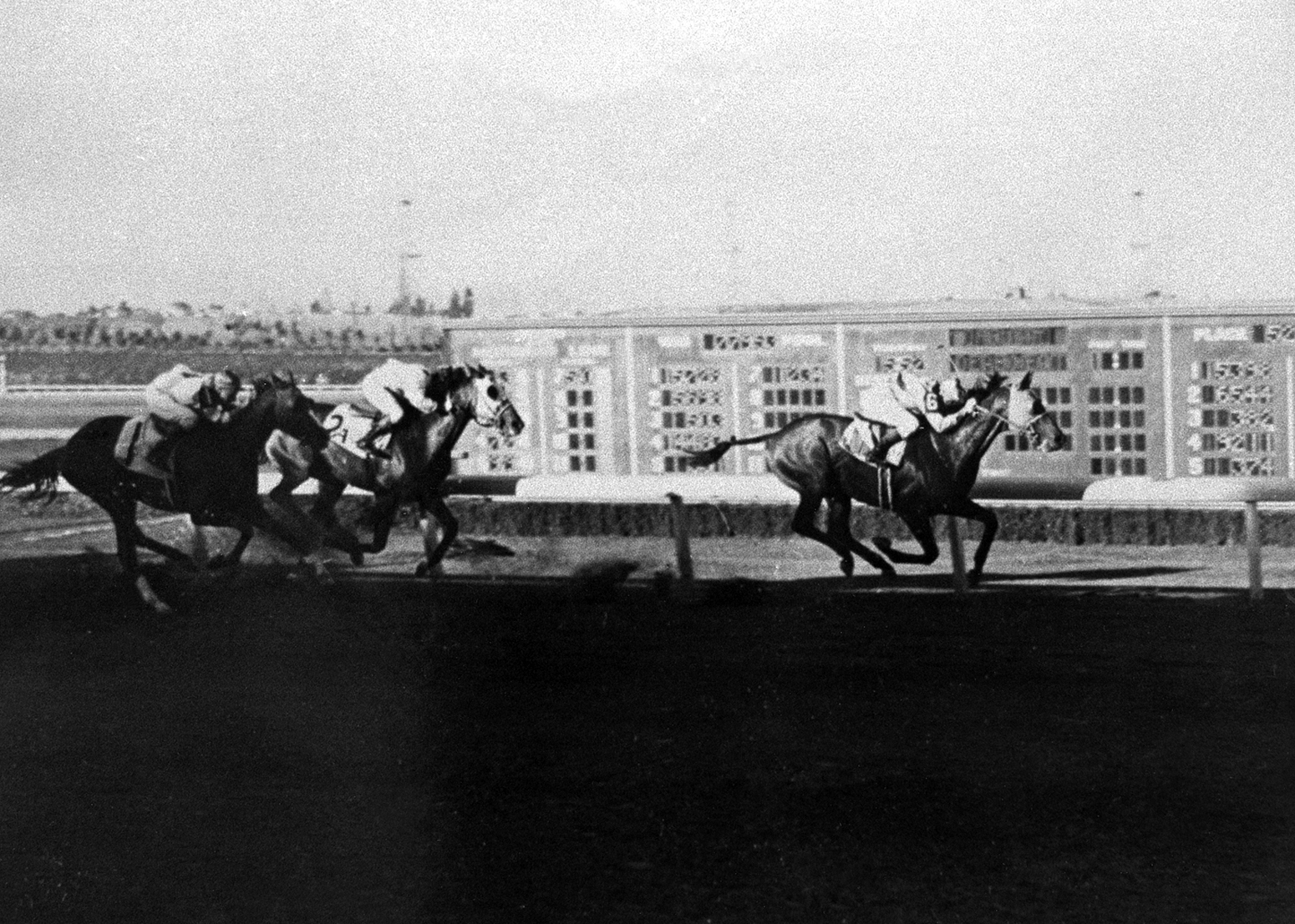 Seabiscuit