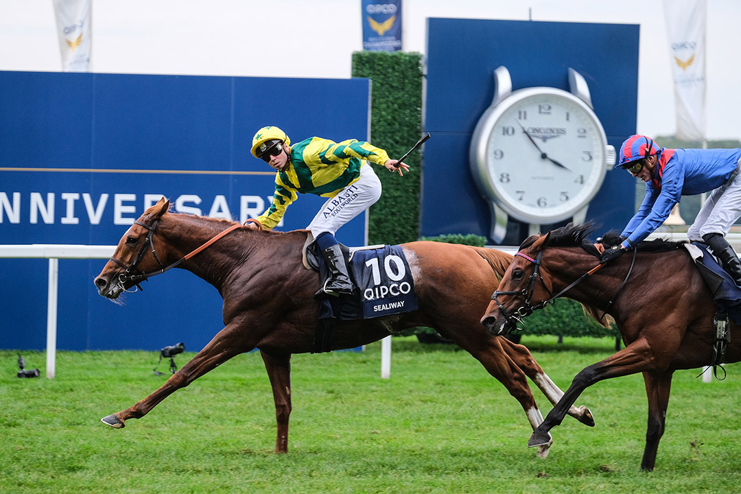 Sealiway wins the 2021 Champion Stakes at Ascot Racecourse