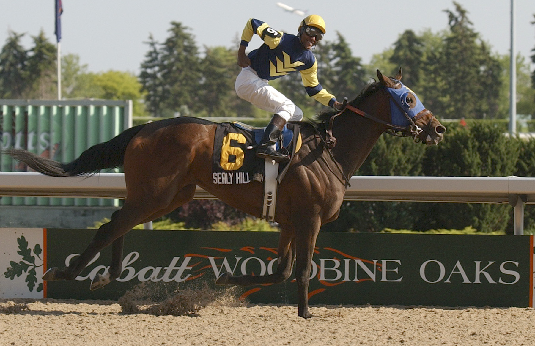 Fasig-Tipton February: Hips to watch