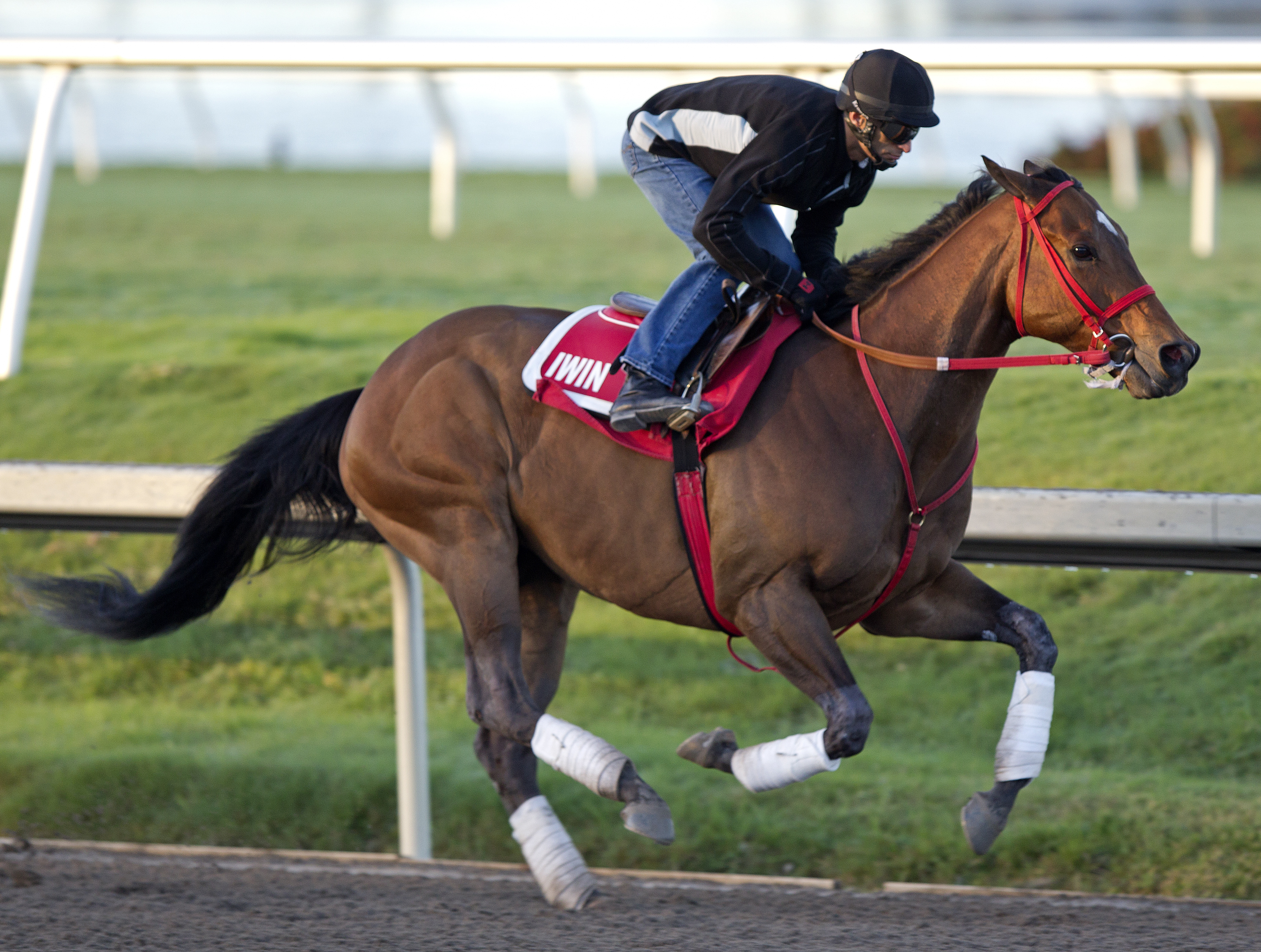 Sean Avery at Gulfstream