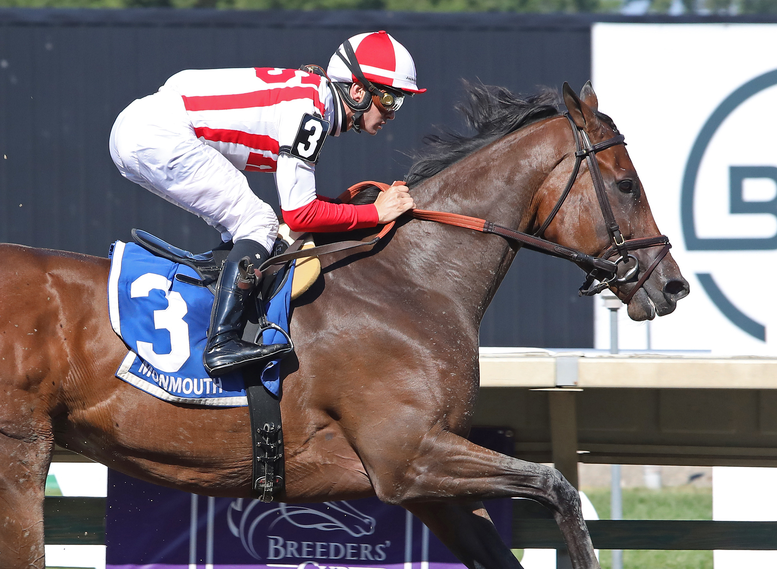Search Results wins Molly Pitcher 7-23-2022