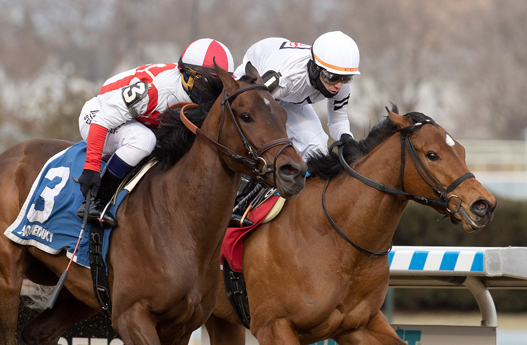 Miss Brazil (right) finishes second to Search Results in the Busher Stakes at Aqueduct