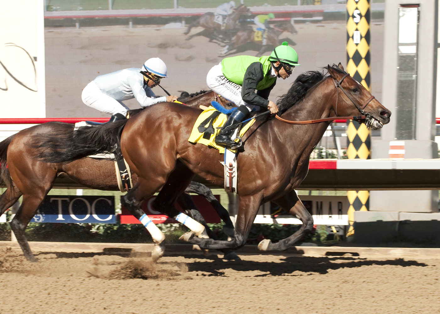 Seattle Serenade wins a maiden race