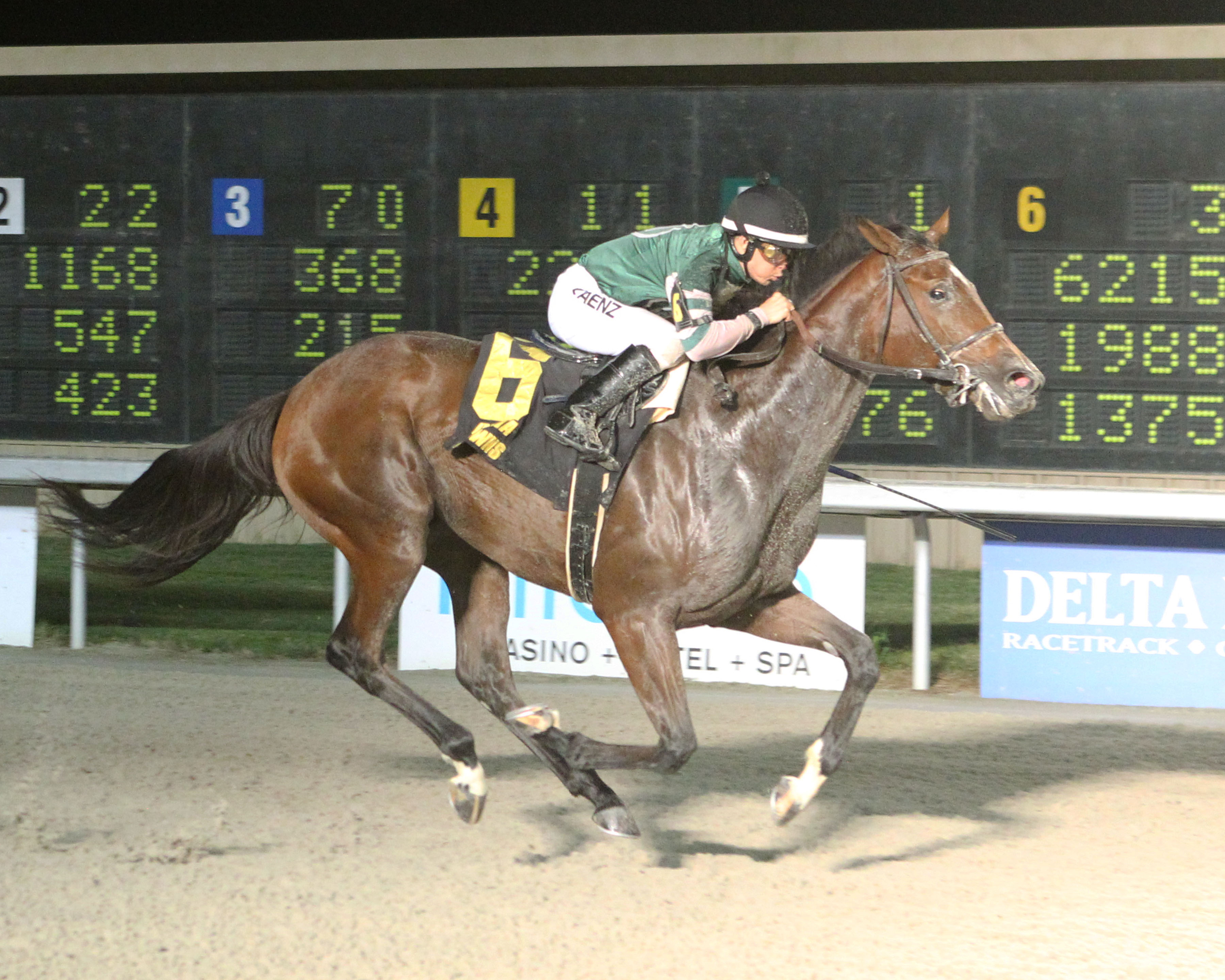 Sebs Princess/Louisiana Jewel