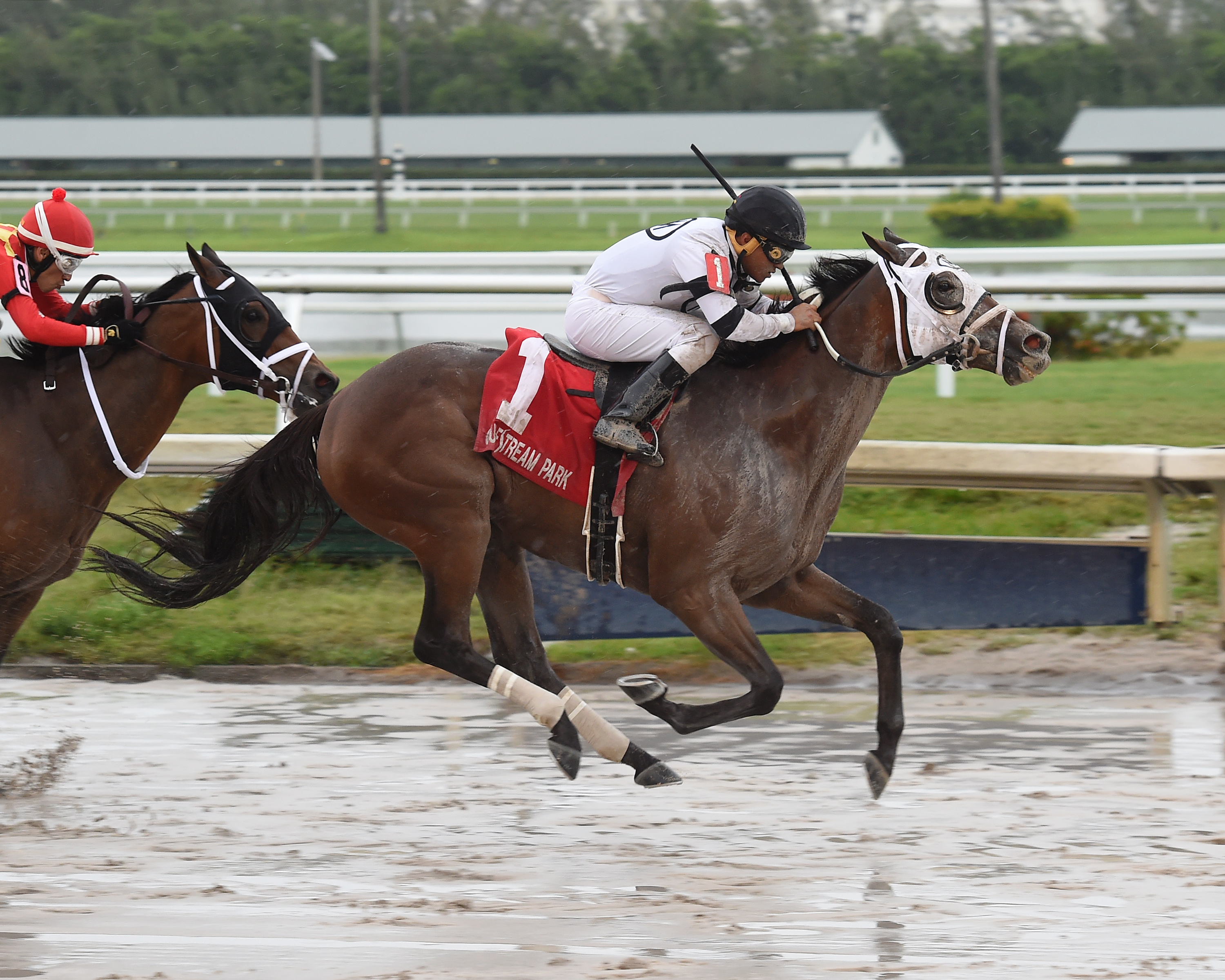 Second Mate wins the 2019 Soldiers Dancer Stakes