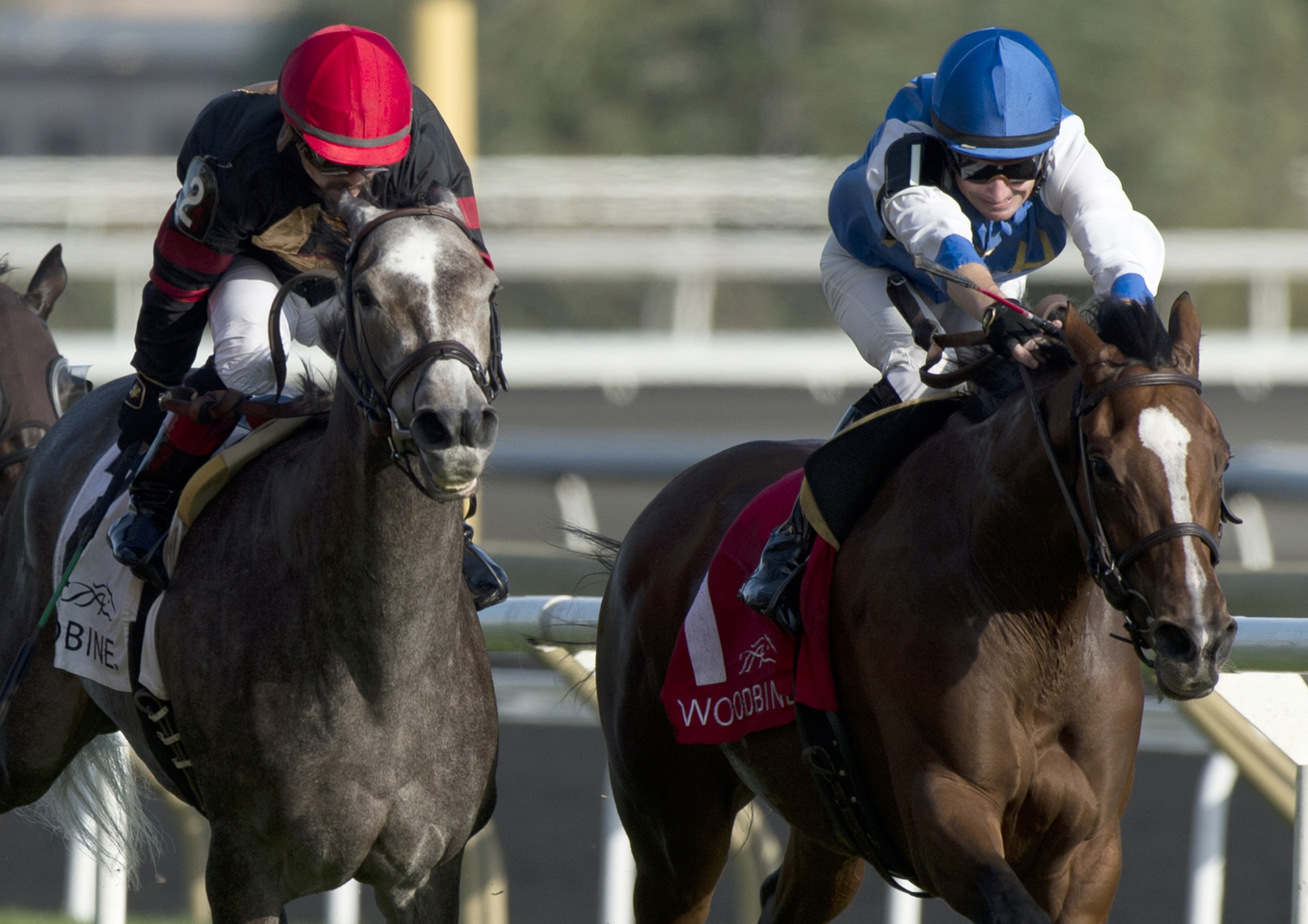 Secret Action wins the Carotene