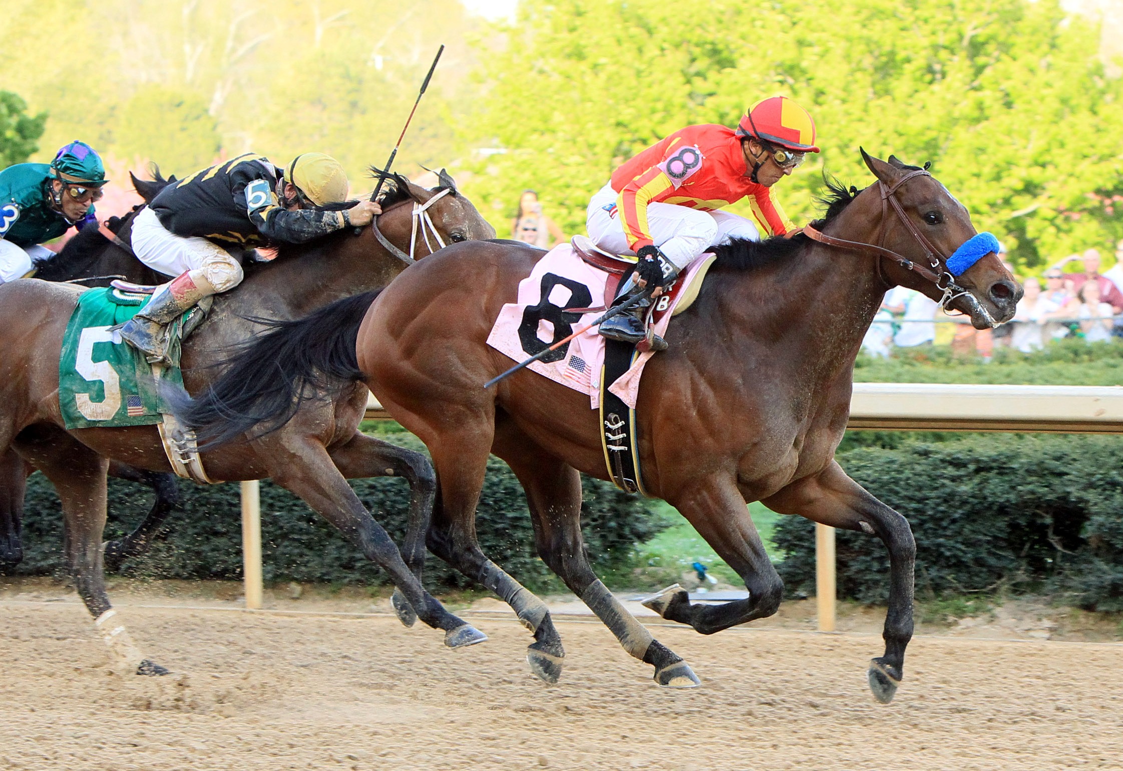 Secret Circle, Rebel Stakes