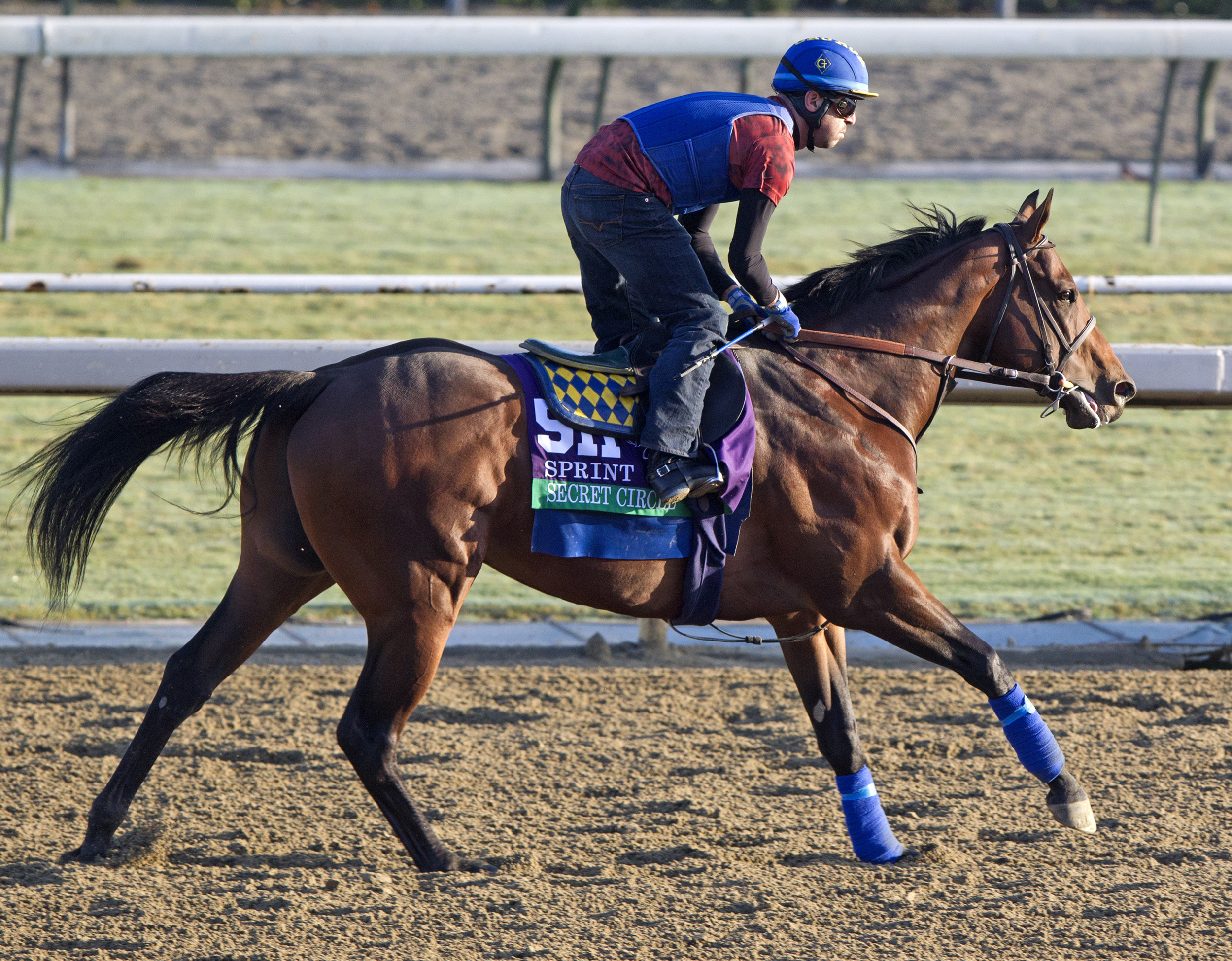 Secret Circle at Santa Anita Park
