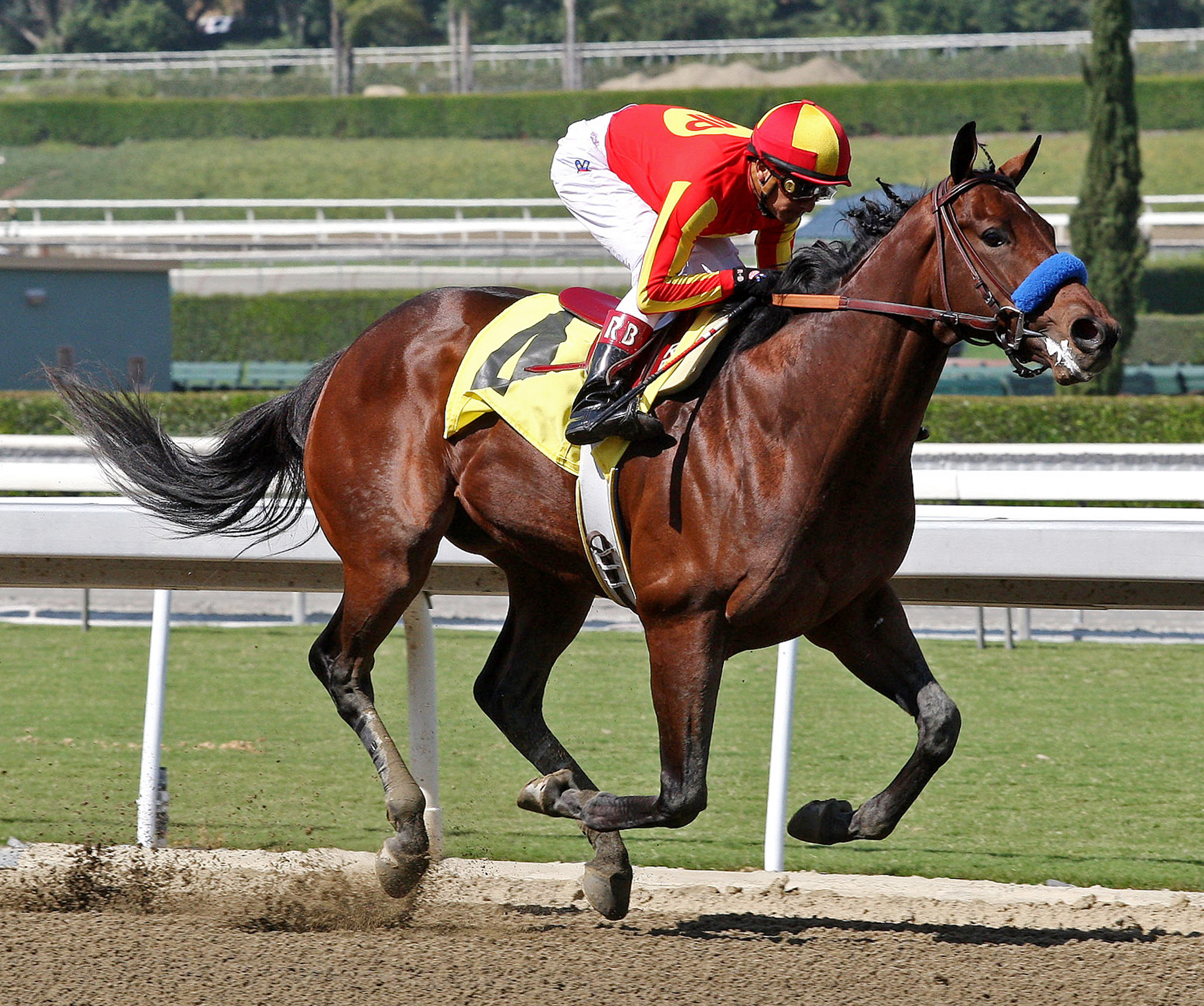 Secret Circle/Jack Goodman