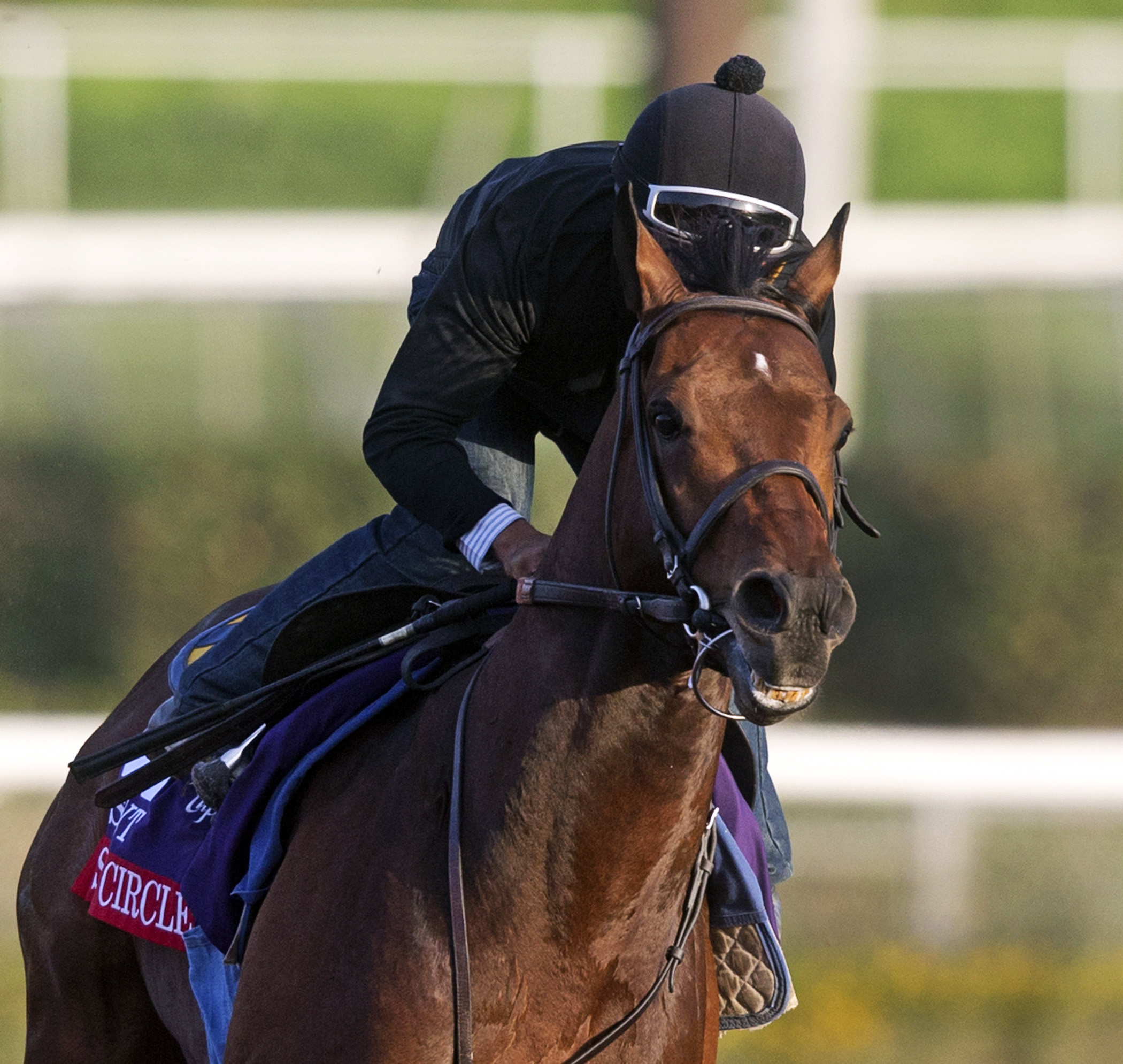 Secret Circle works Oct. 27 at Santa Anita