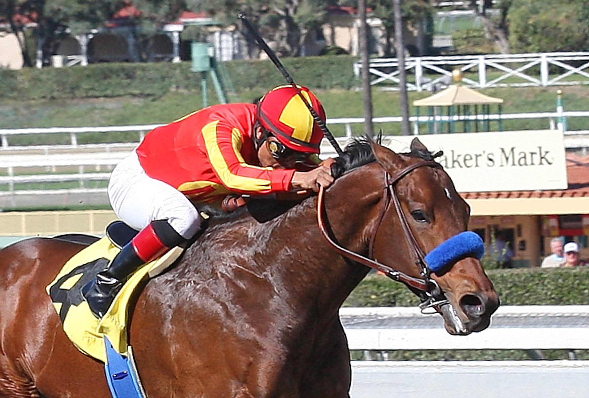 Secret Circle finishes second in the Palos Verdes Stakes