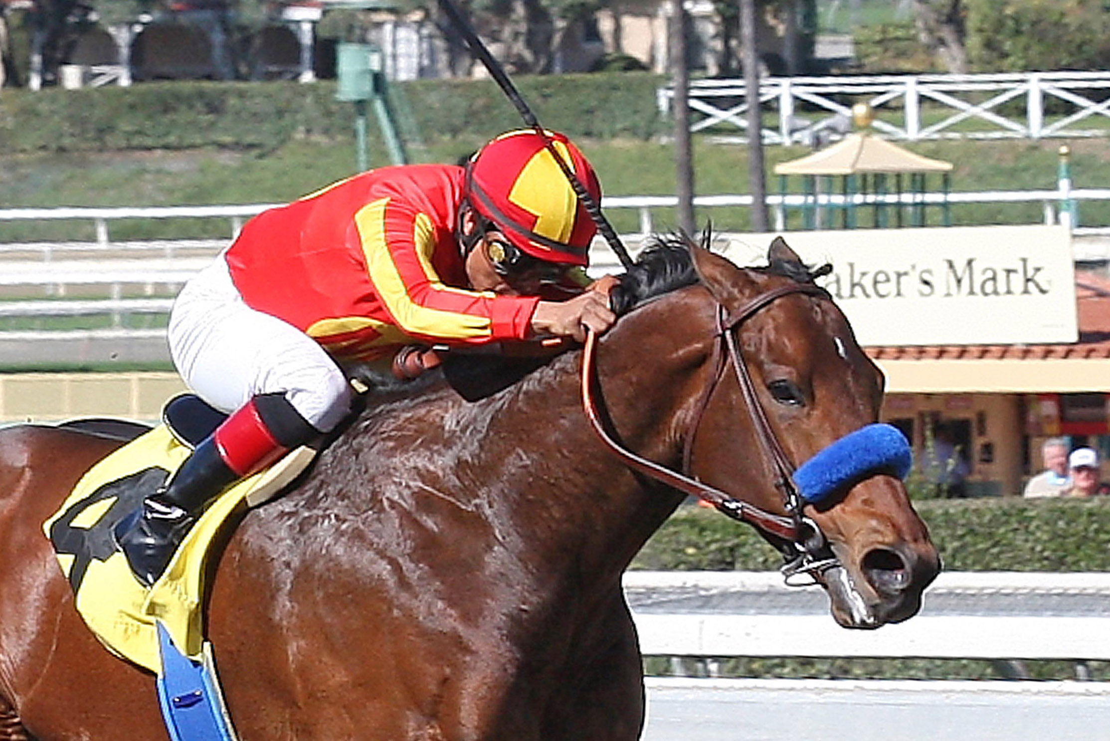 Secret Circle finishes second in the Palos Verdes Stakes