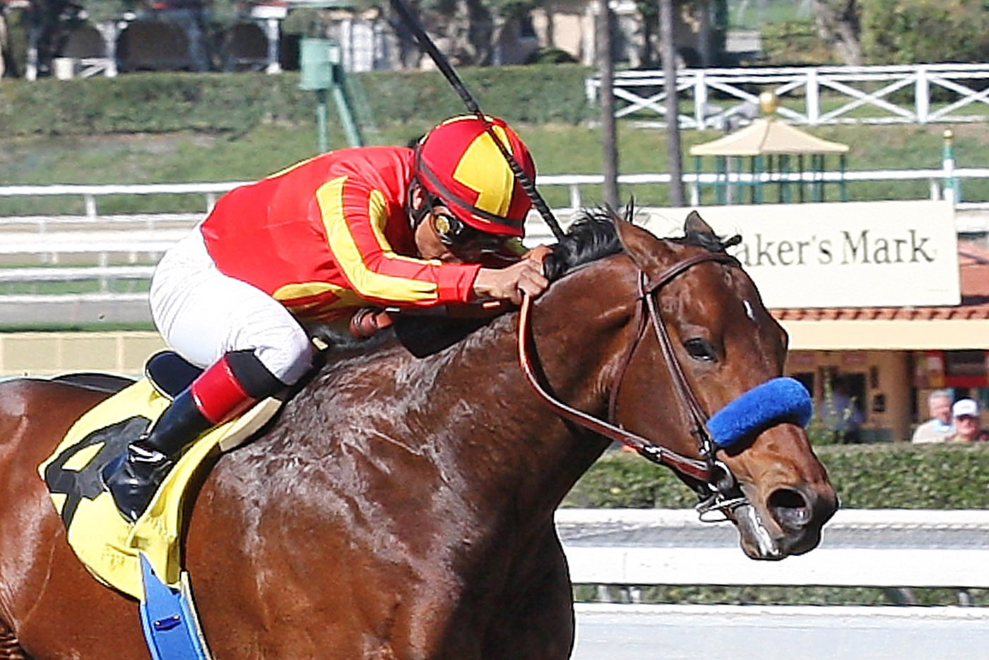 Secret Circle finishes second in the Palos Verdes Stakes