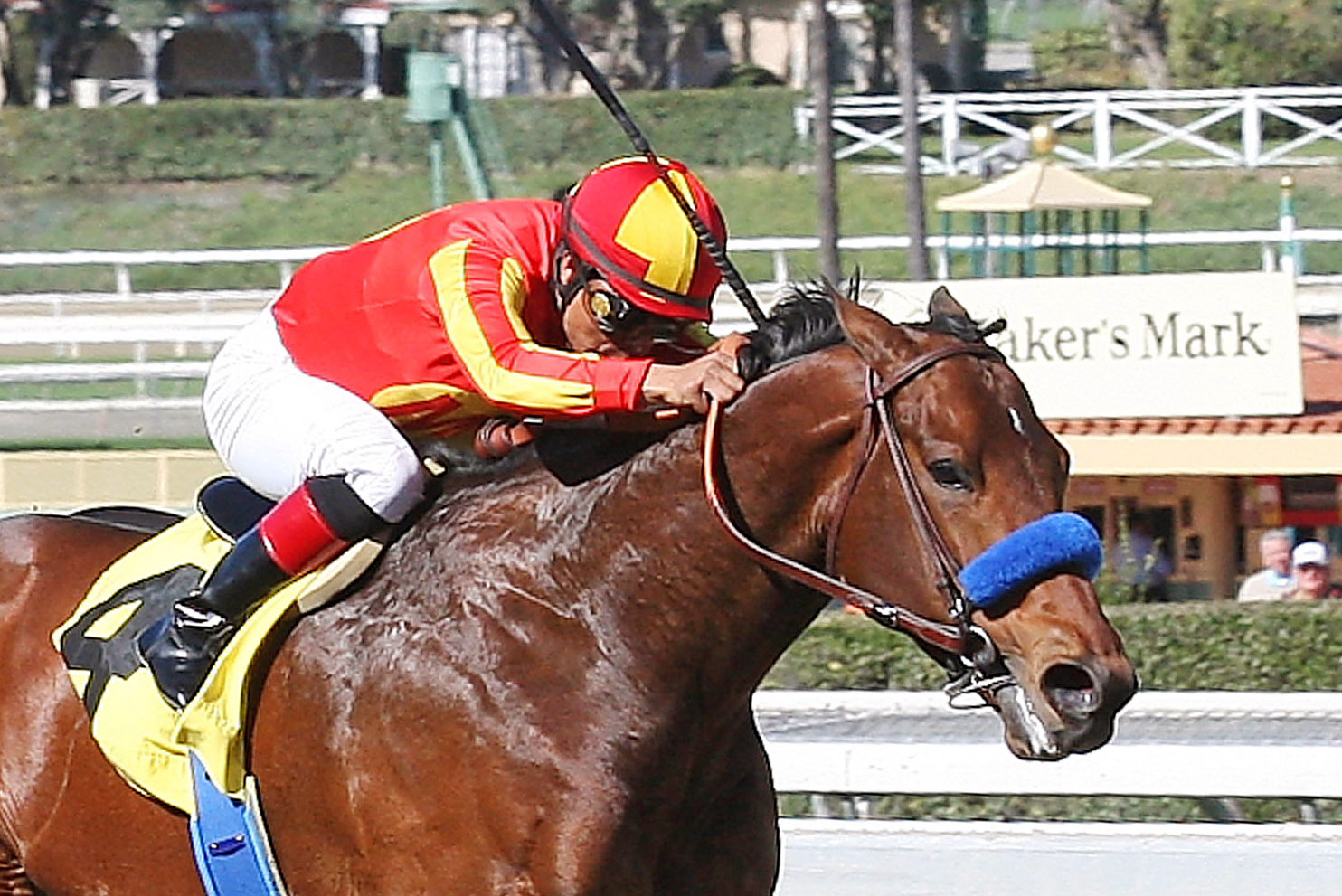 Secret Circle finishes second in the Palos Verdes Stakes