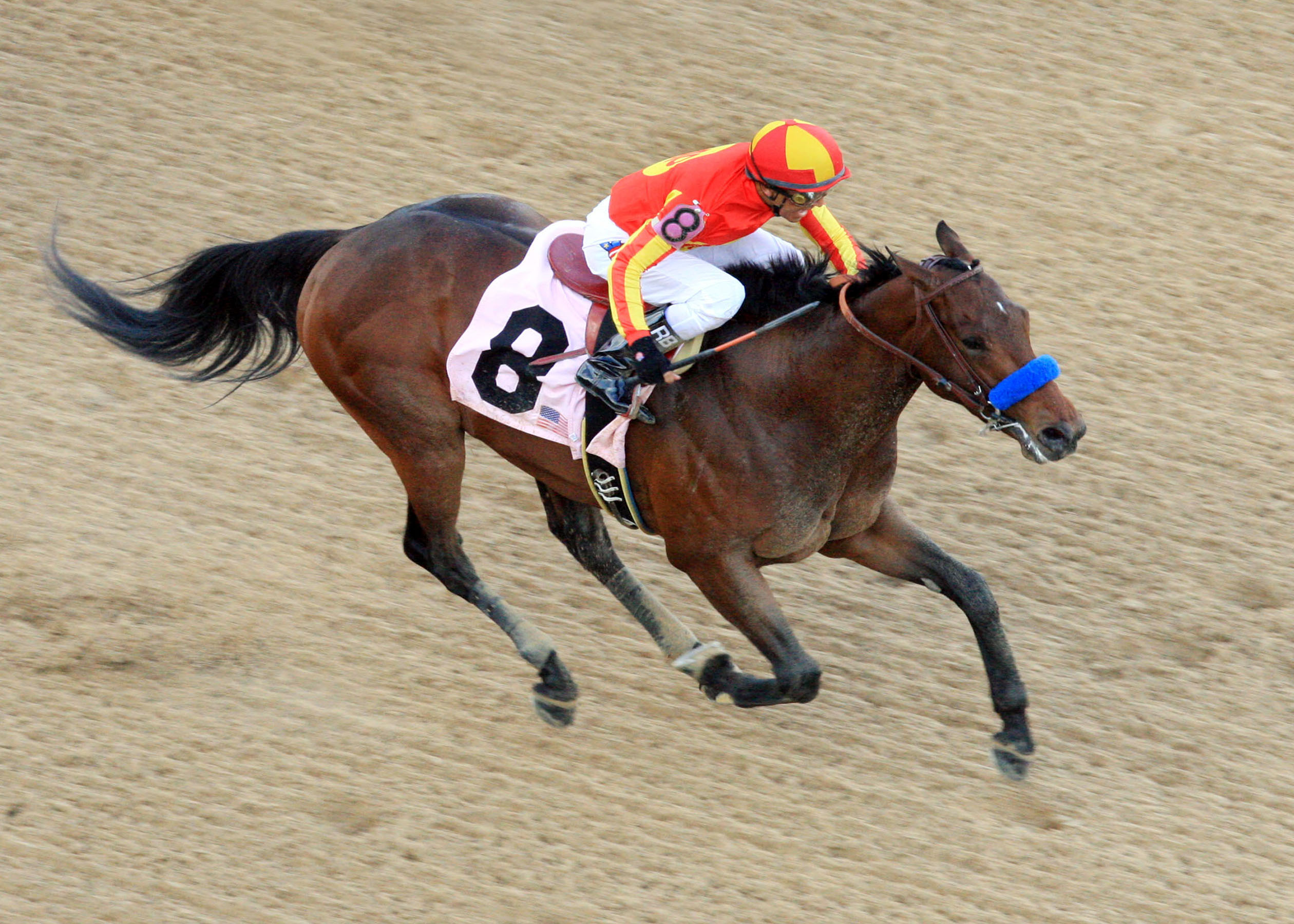 Kentucky Derby 2012: Secret Circle will pass