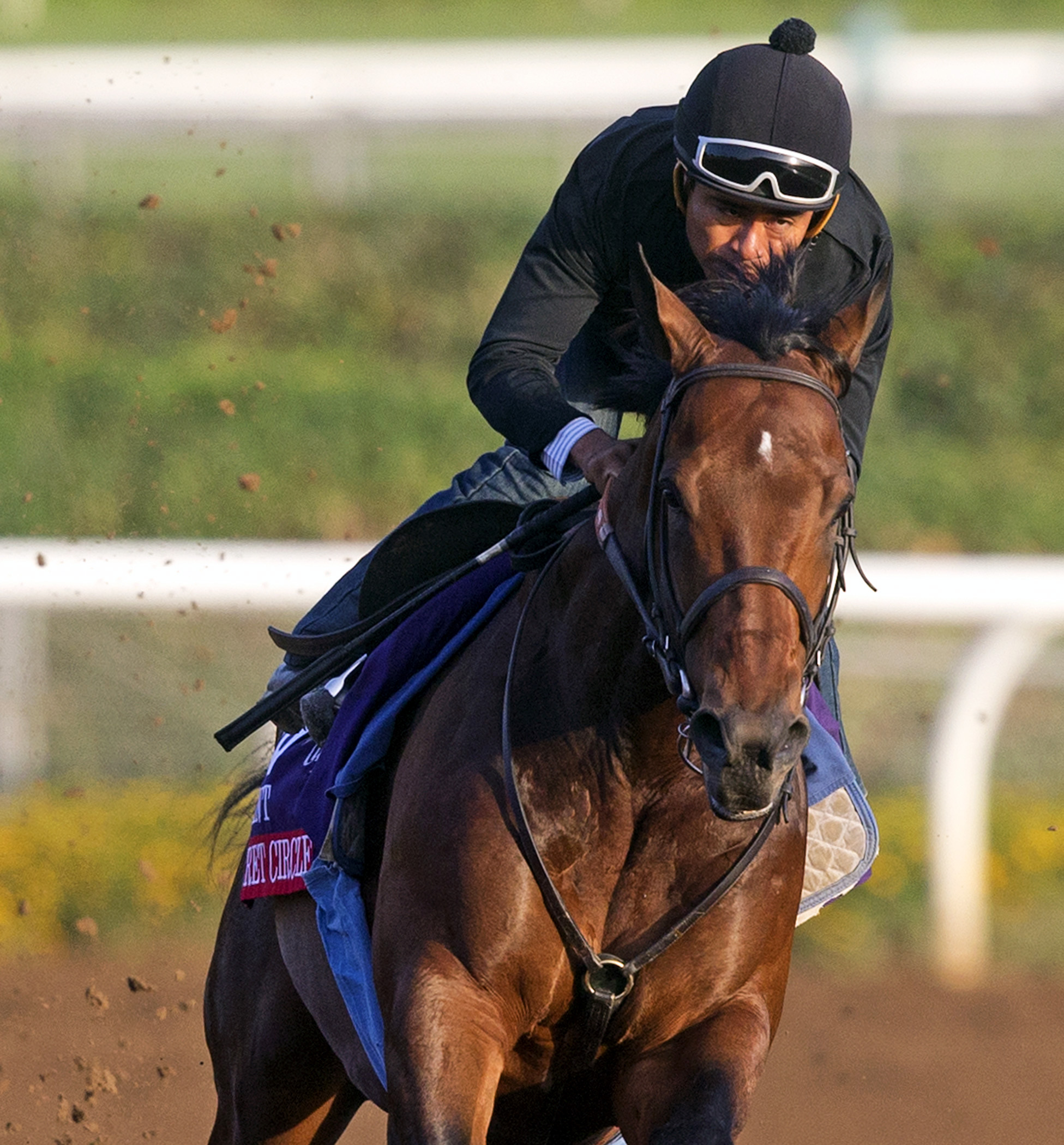 Secret Circle trains at Santa Anita on Oct. 27