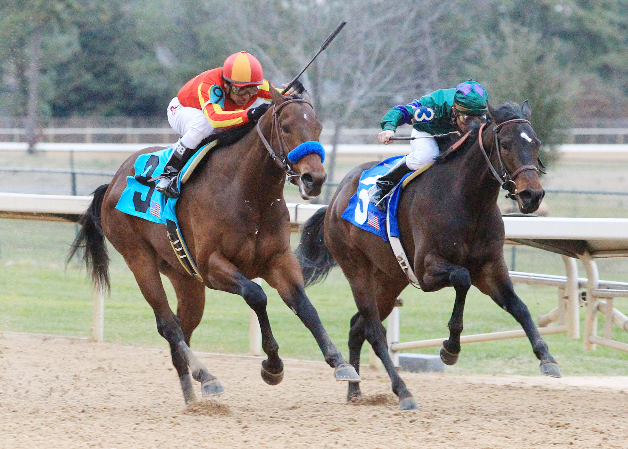 Oaklawn: Scatman probable for Rebel