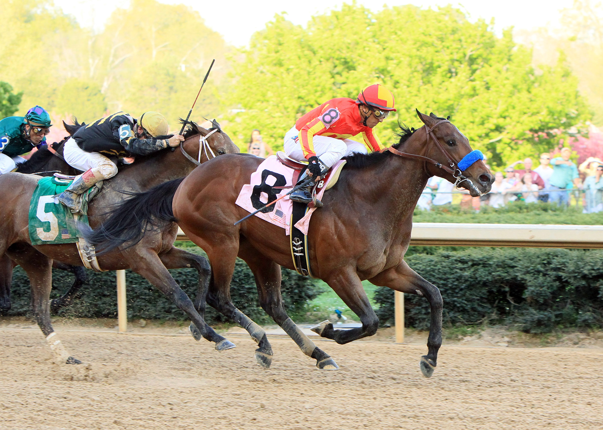 Secret Circle wins the 2012 Rebel Stakes
