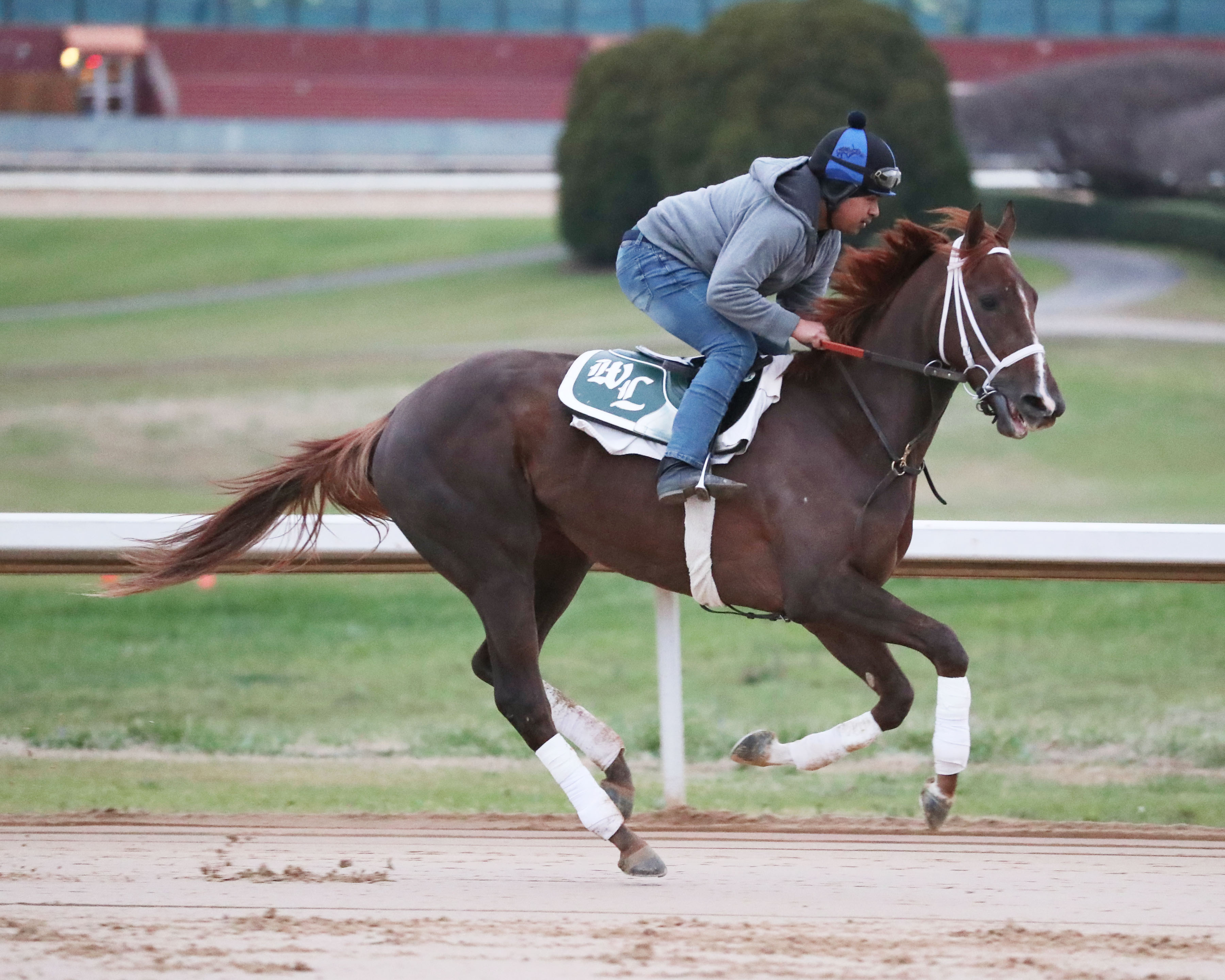 Secret Oath - Oaklawn Park