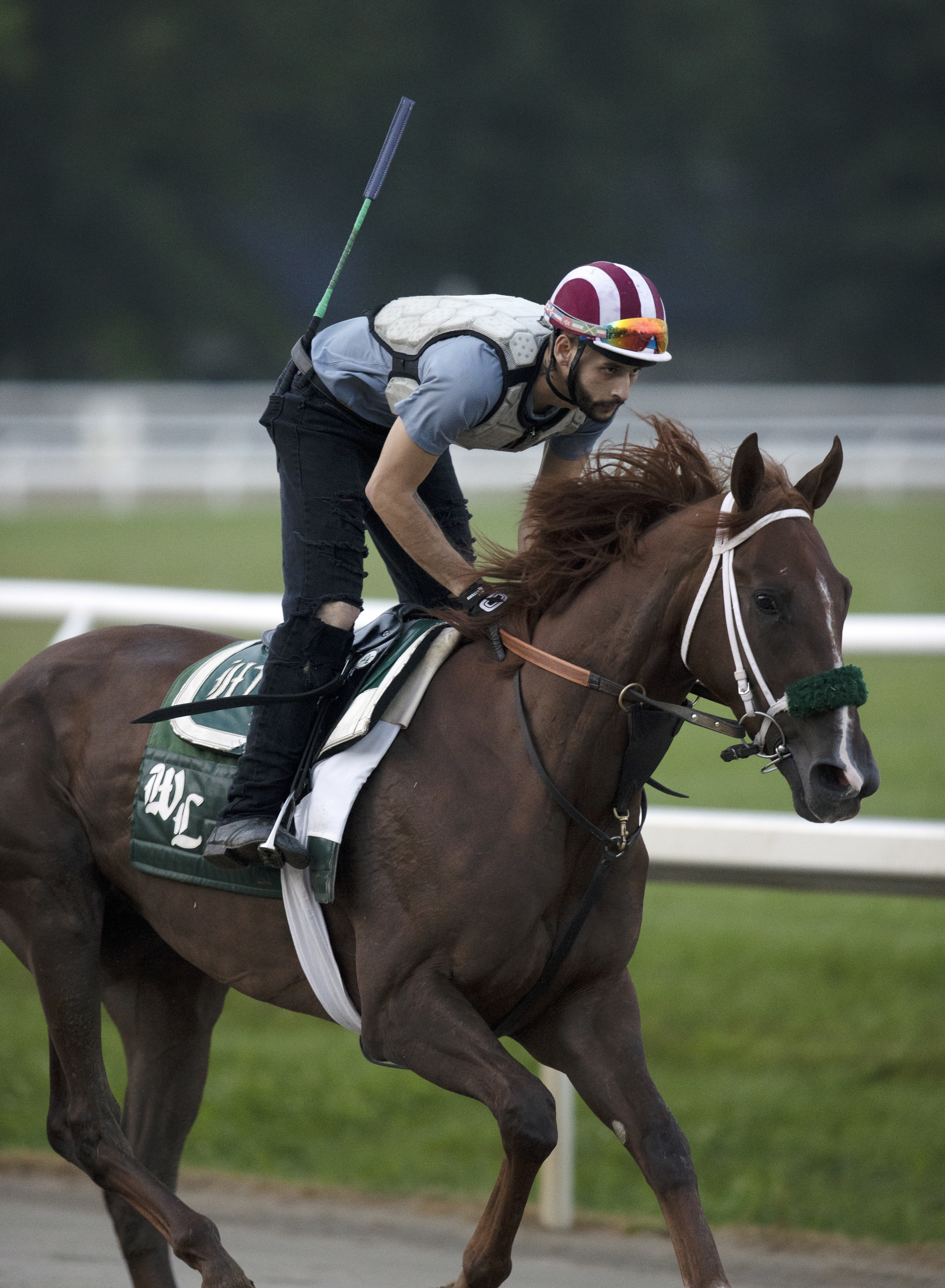 Secret Oath trains at Saratoga on July 20 2022
