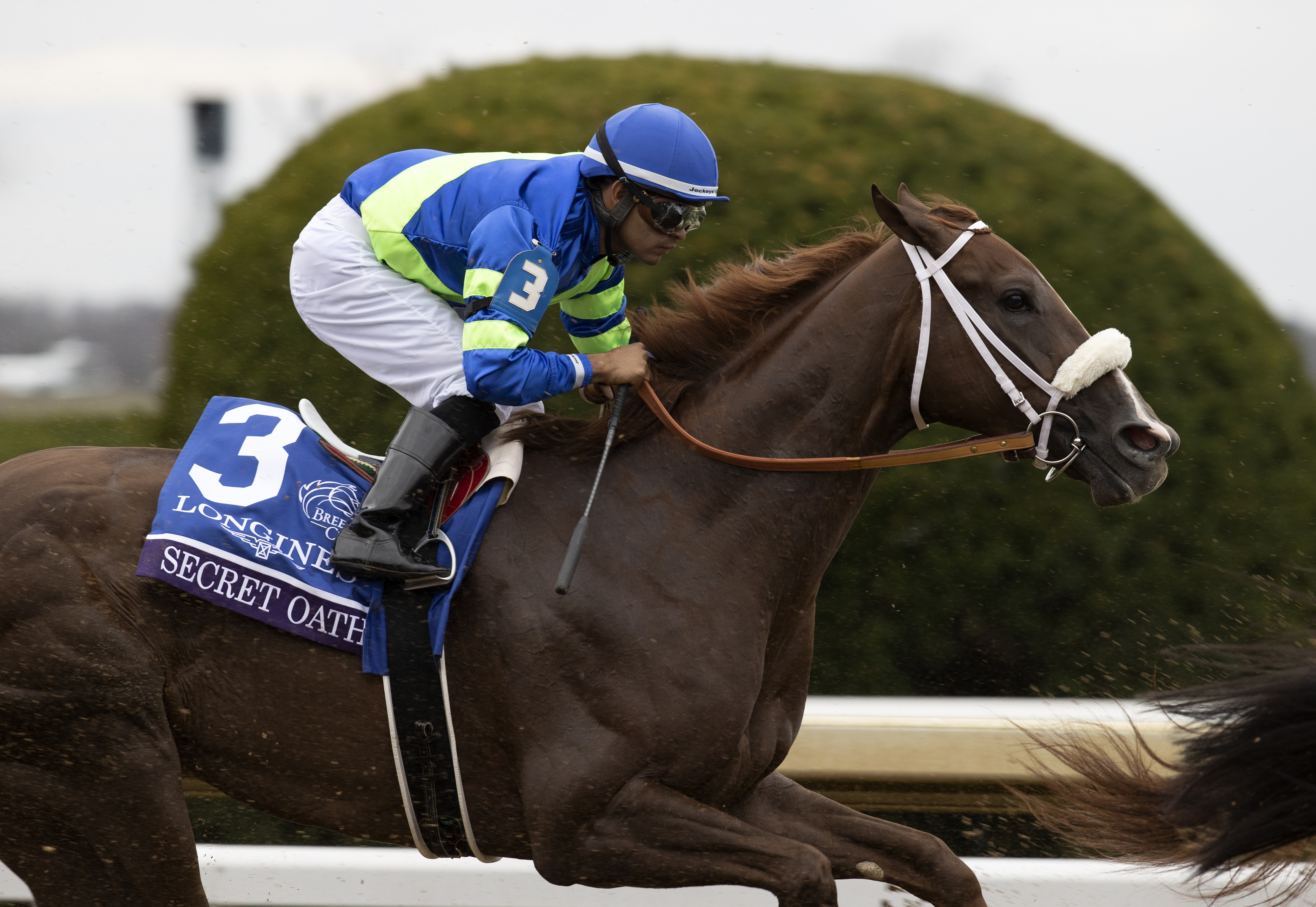 Secret Oath/Eclipse Awards