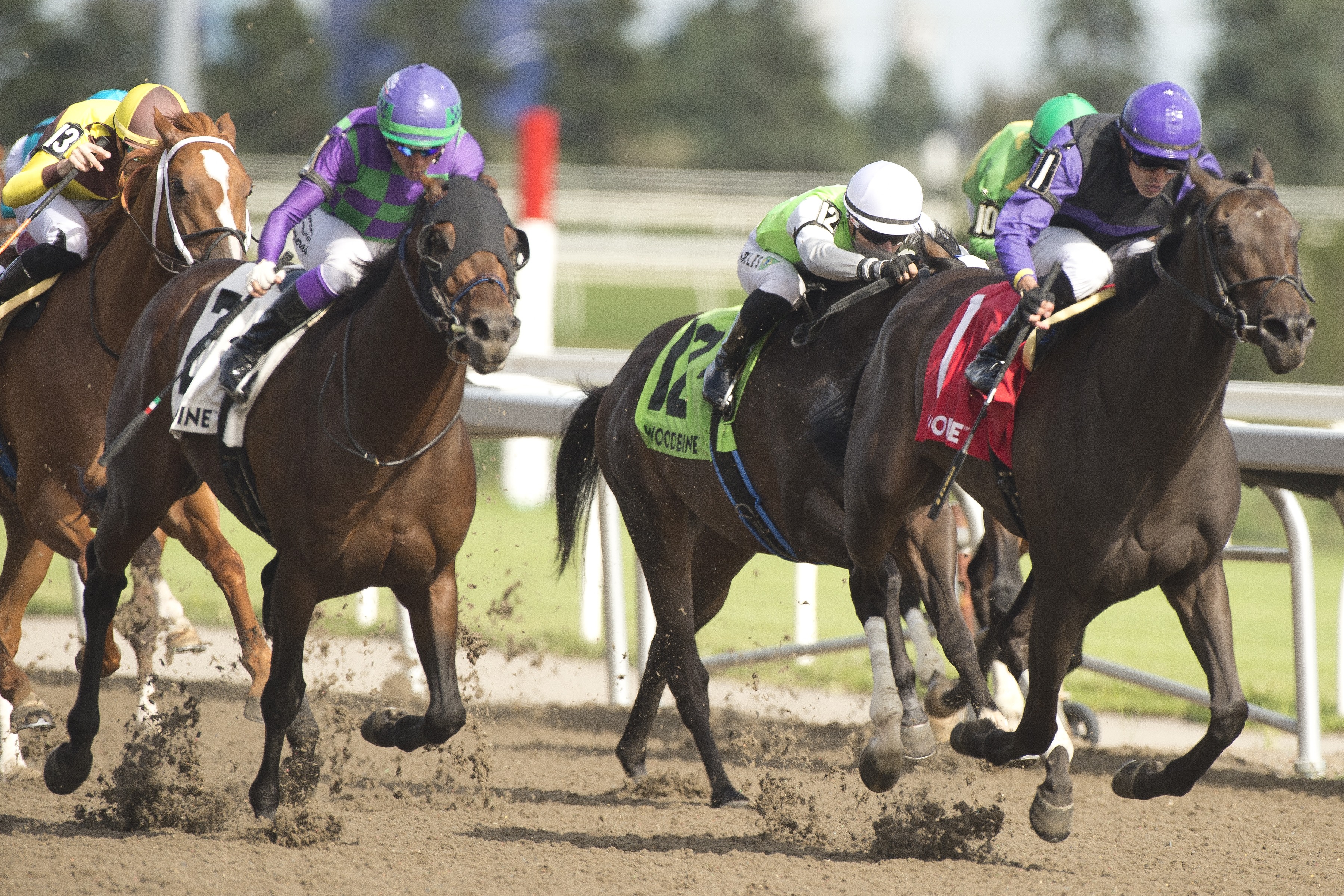 Secret Reserve wins the Bold Venture Aug 13 2022