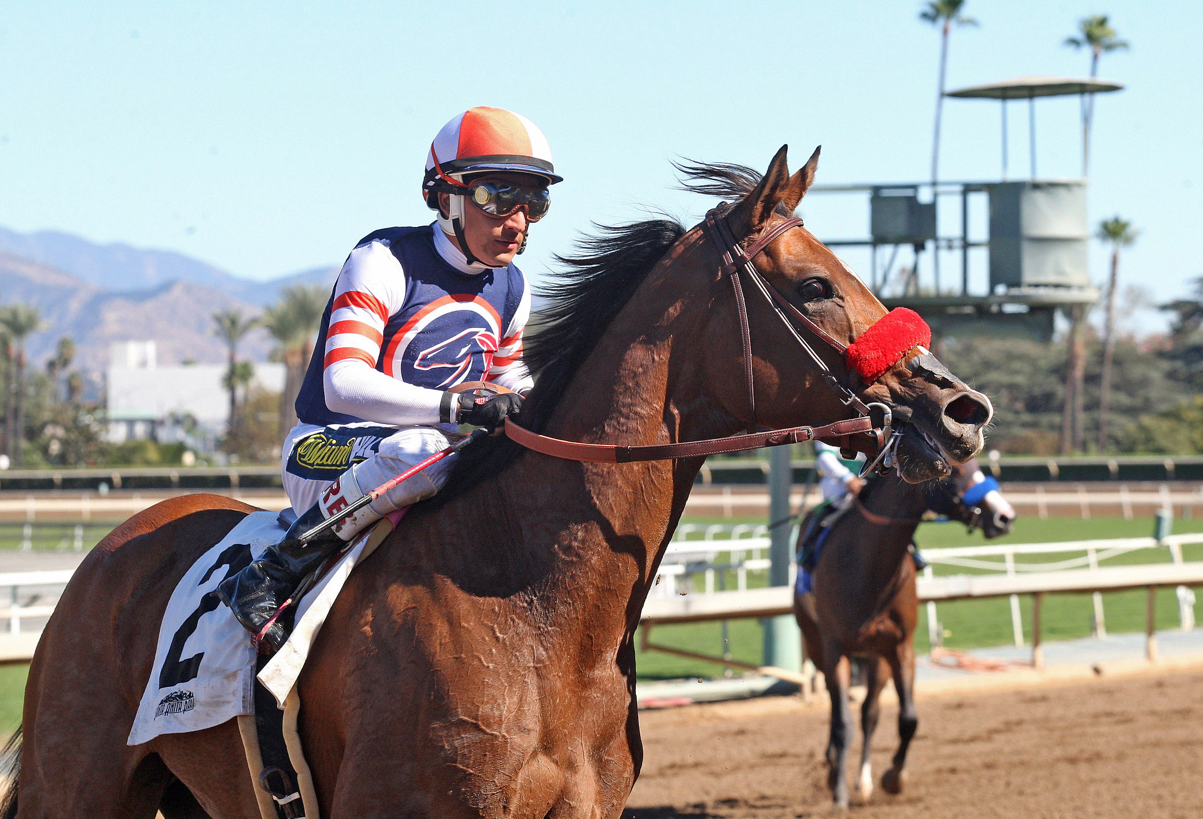 Secret Spice at the 2017 Anoakia Stakes