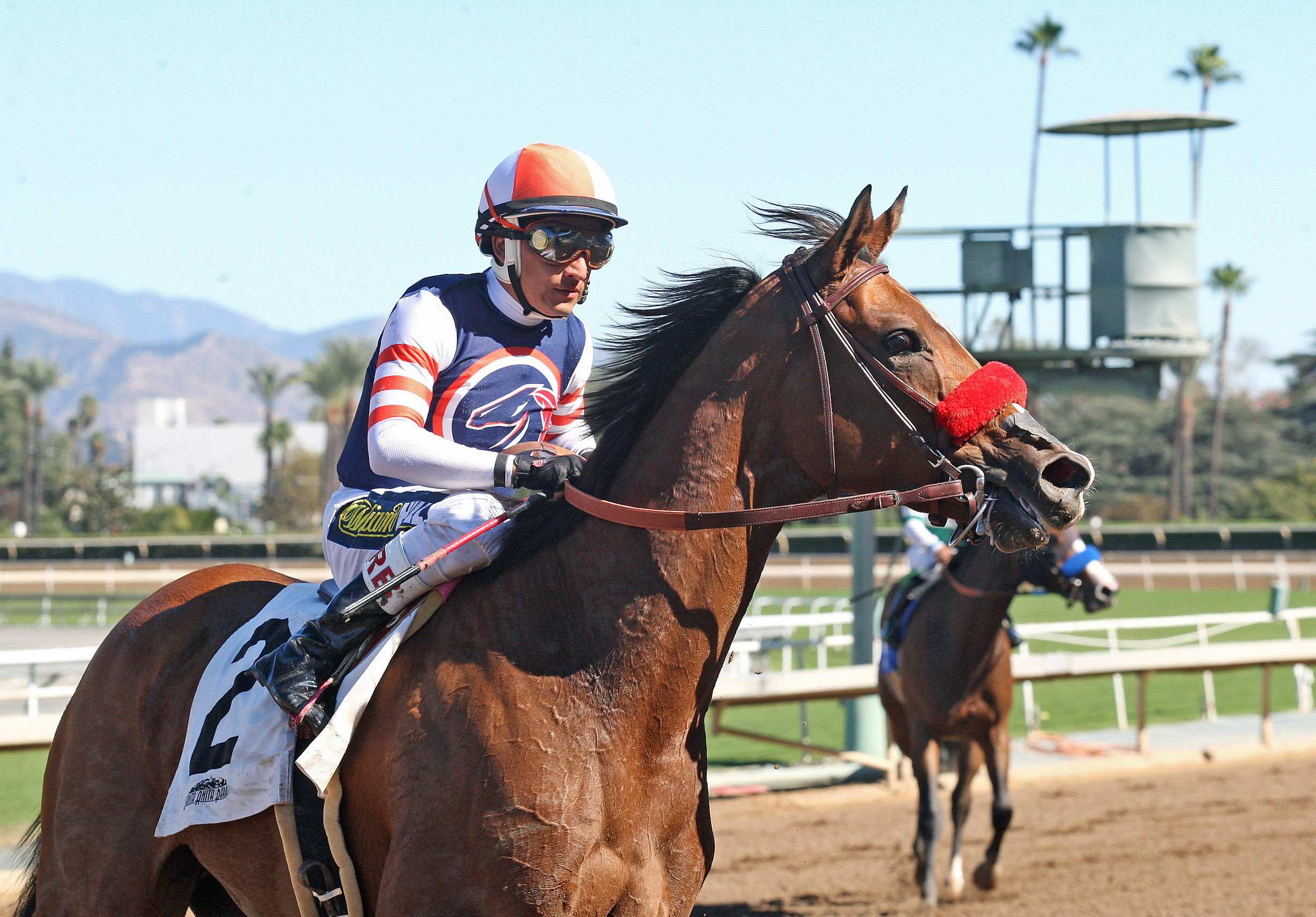 Secret Spice at the Anoakia Stakes