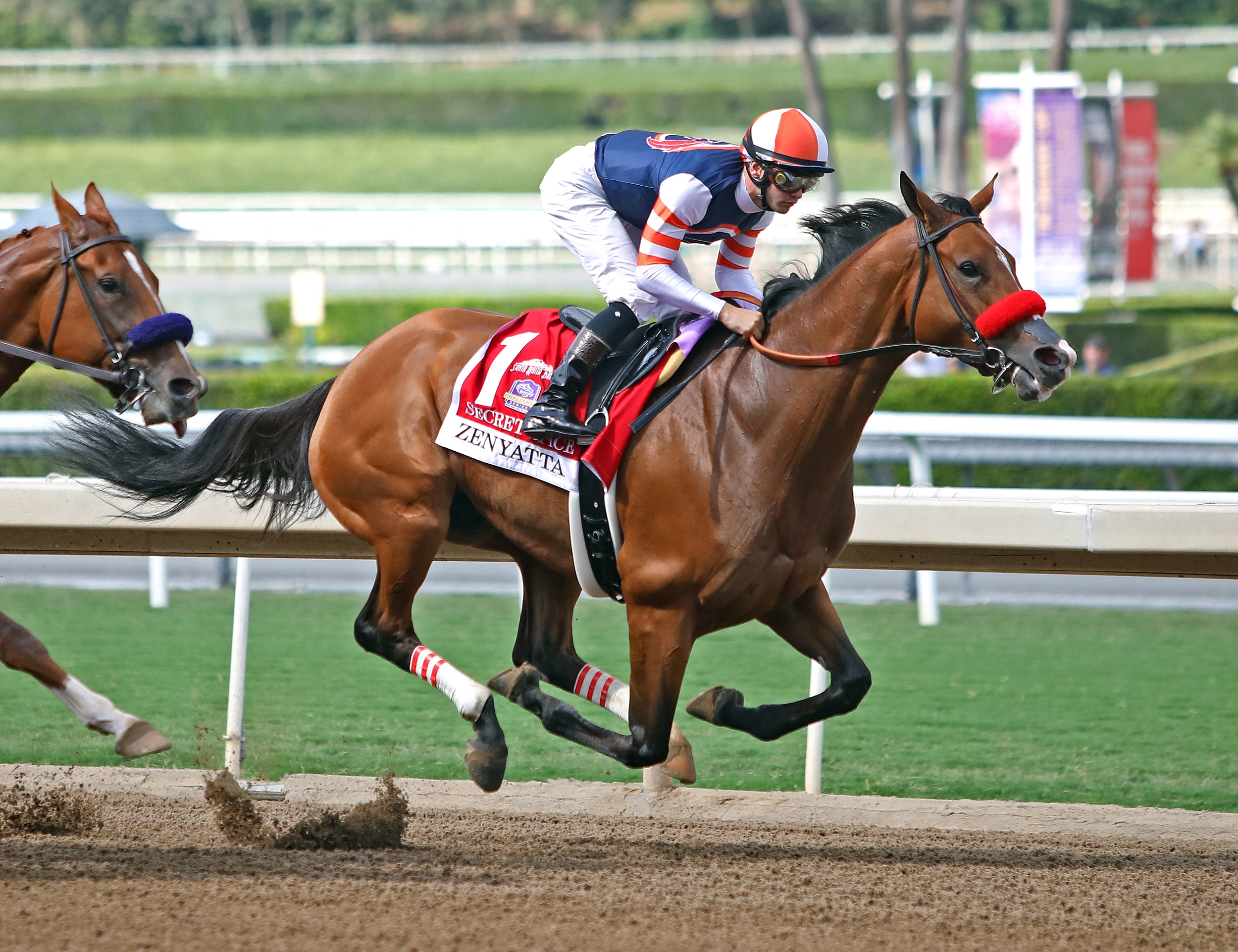 Secret Spice finishes second in the 2019 Zenyatta Stakes