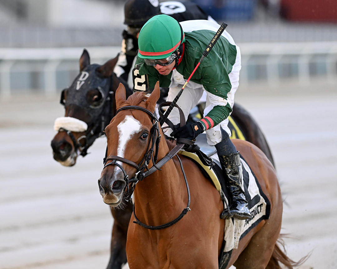 Secret Love wins the 2021 Franklin Square Stakes at Aqueduct Racetrack