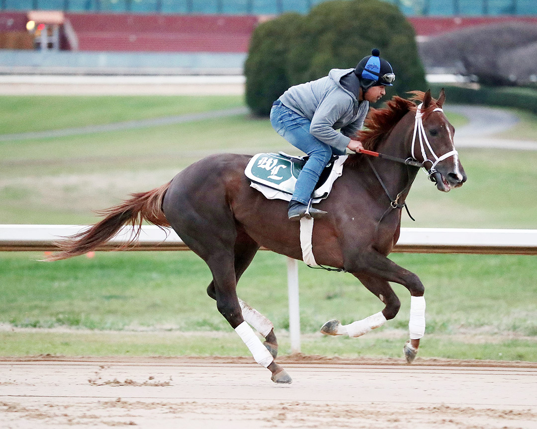 Secret Oath trains at Oaklawn on Feb. 23