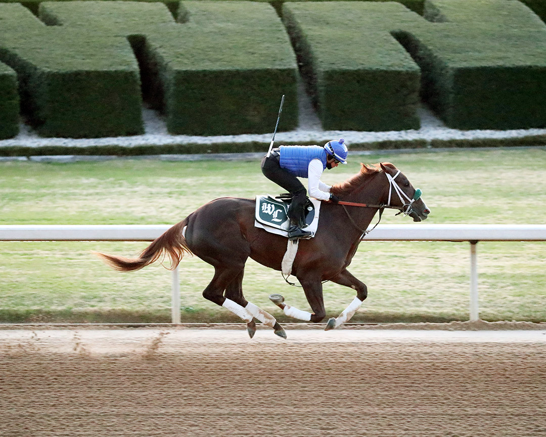Secret Oath trains at Oaklawn Park on March 25
