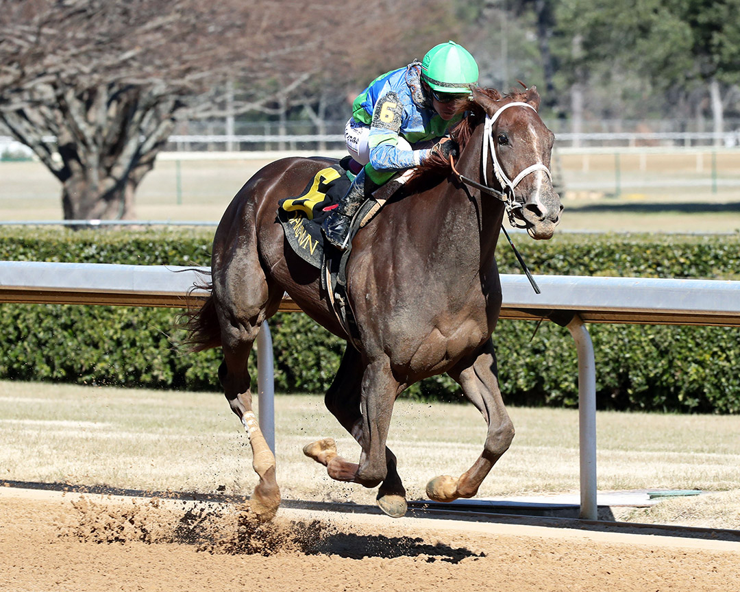 Secret Oath wins the 2022 Martha Washington Stakes at Oaklawn