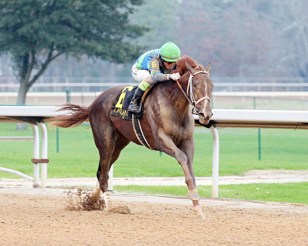 Secret Oath wins a Dec. 31 allowance at Oaklawn Park