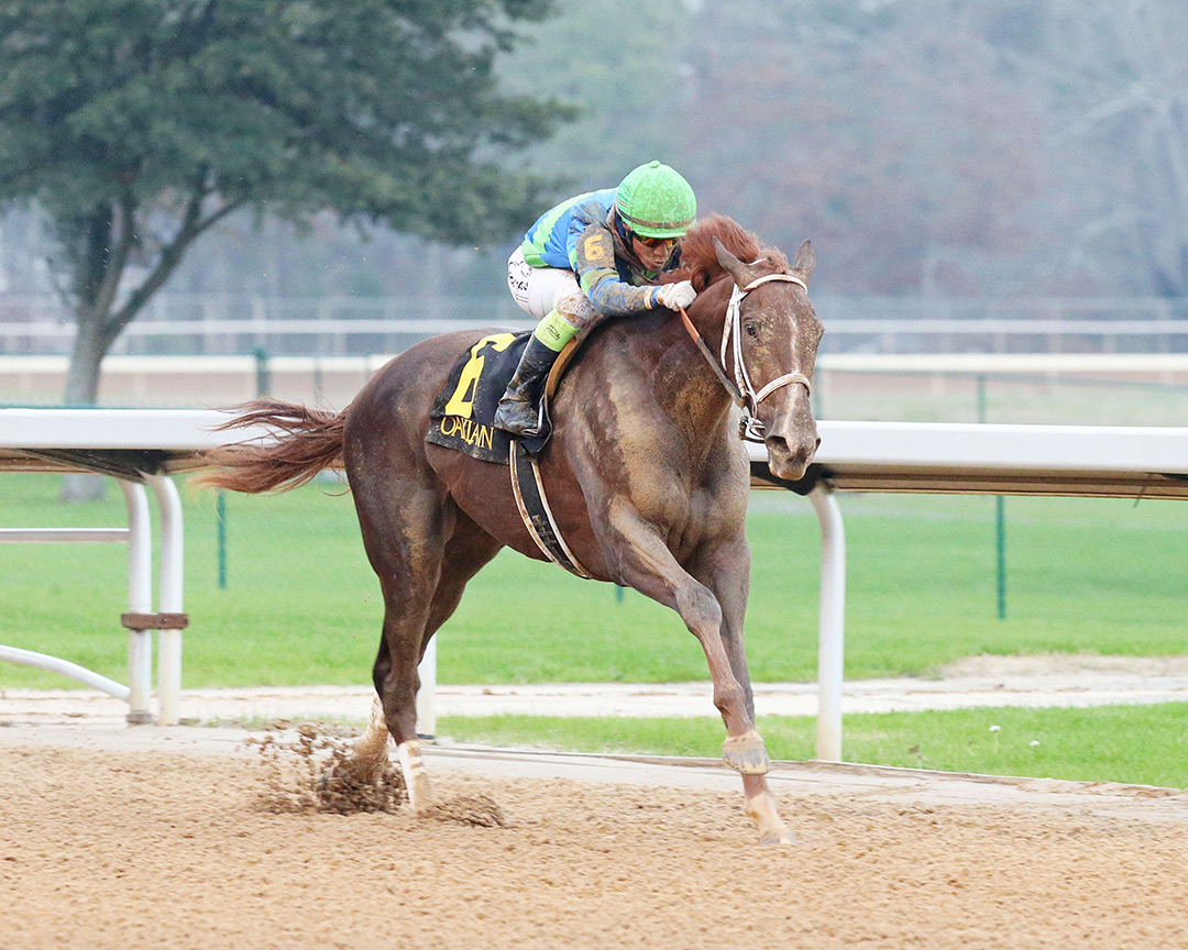 Secret Oath wins a Dec. 31 allowance at Oaklawn Park