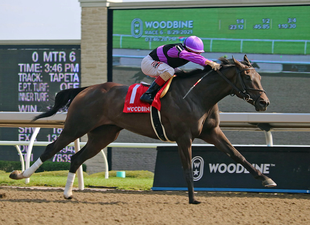 Secret Reserve wins the 2021 Elgin Stakes at Woodbine Racetrack