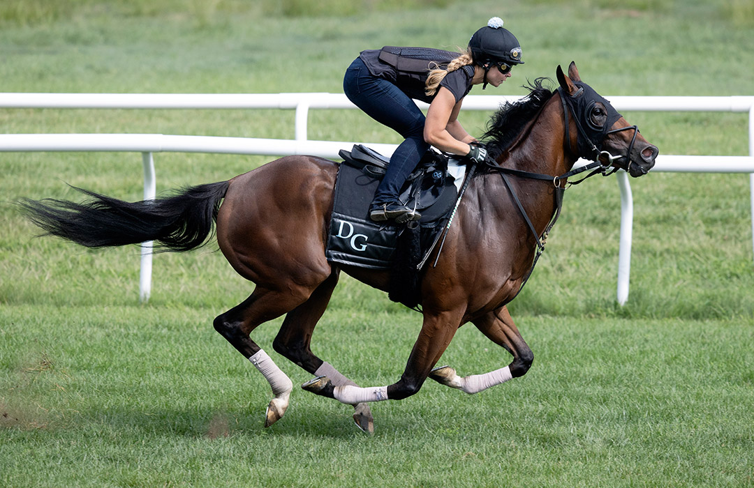 Secret Time trains at Saratoga Race Course in August 2021