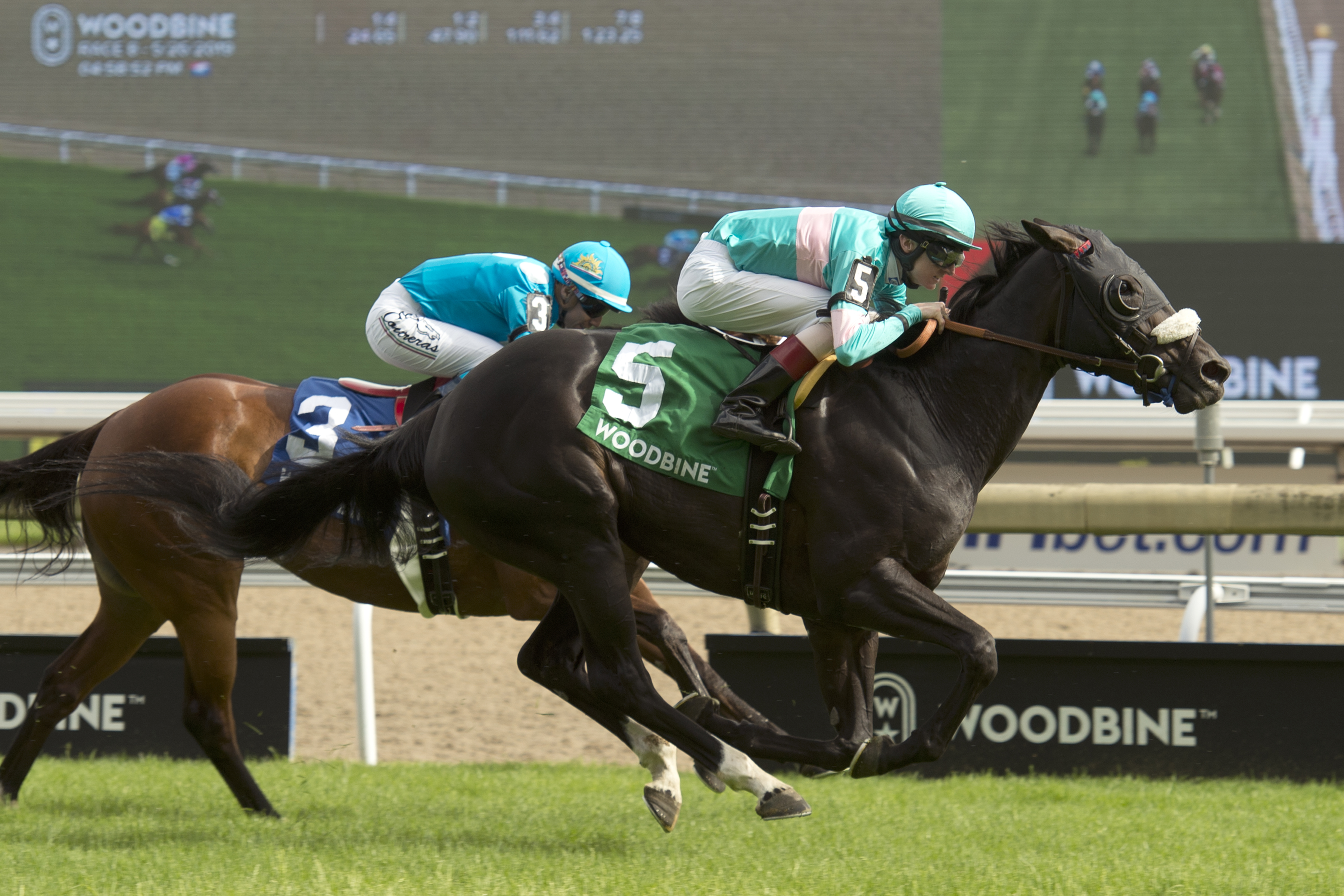 Secret Message wins the 2019 Nassau Stakes