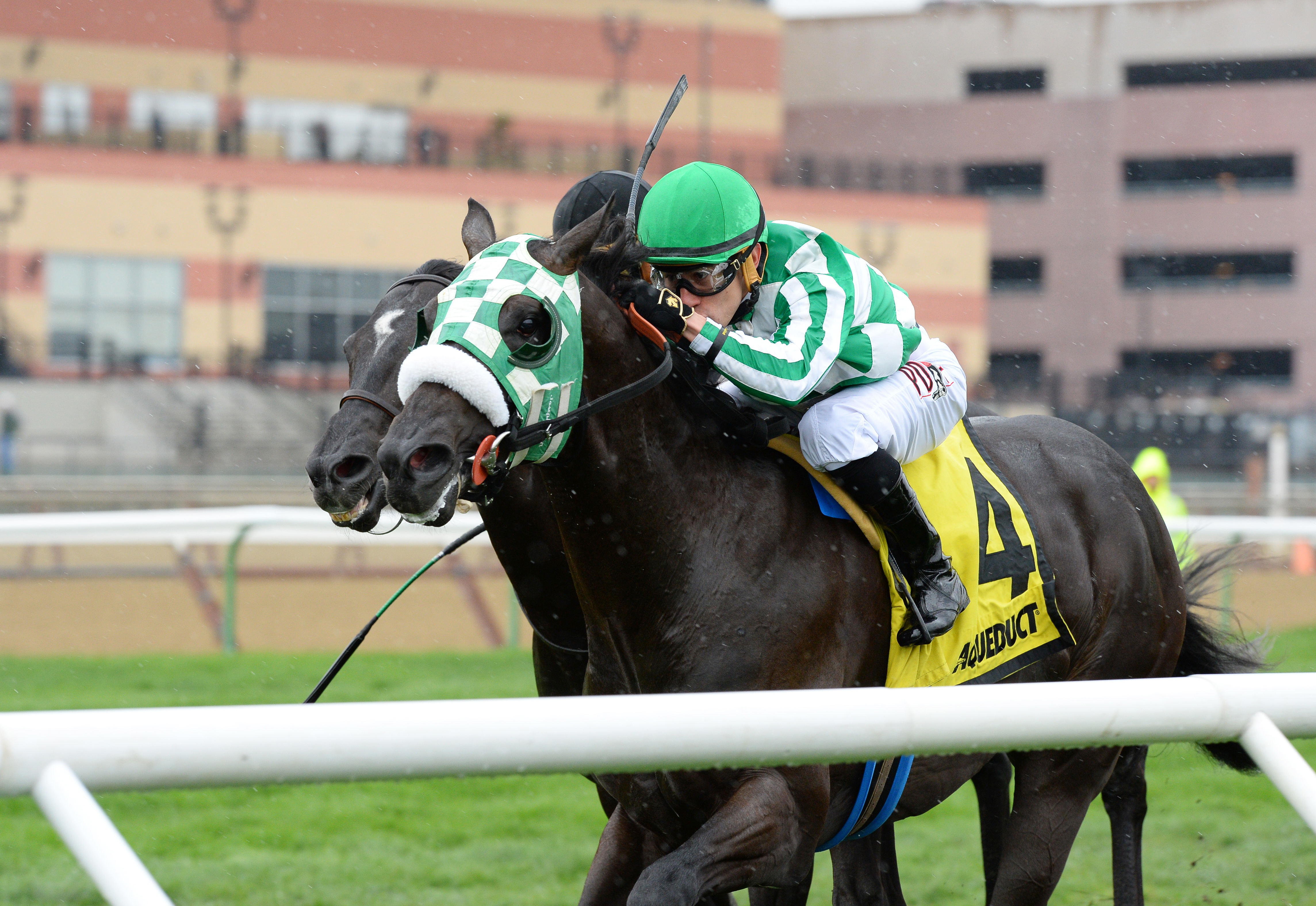 Secretary At War wins the 2017 Woodhaven Stakes