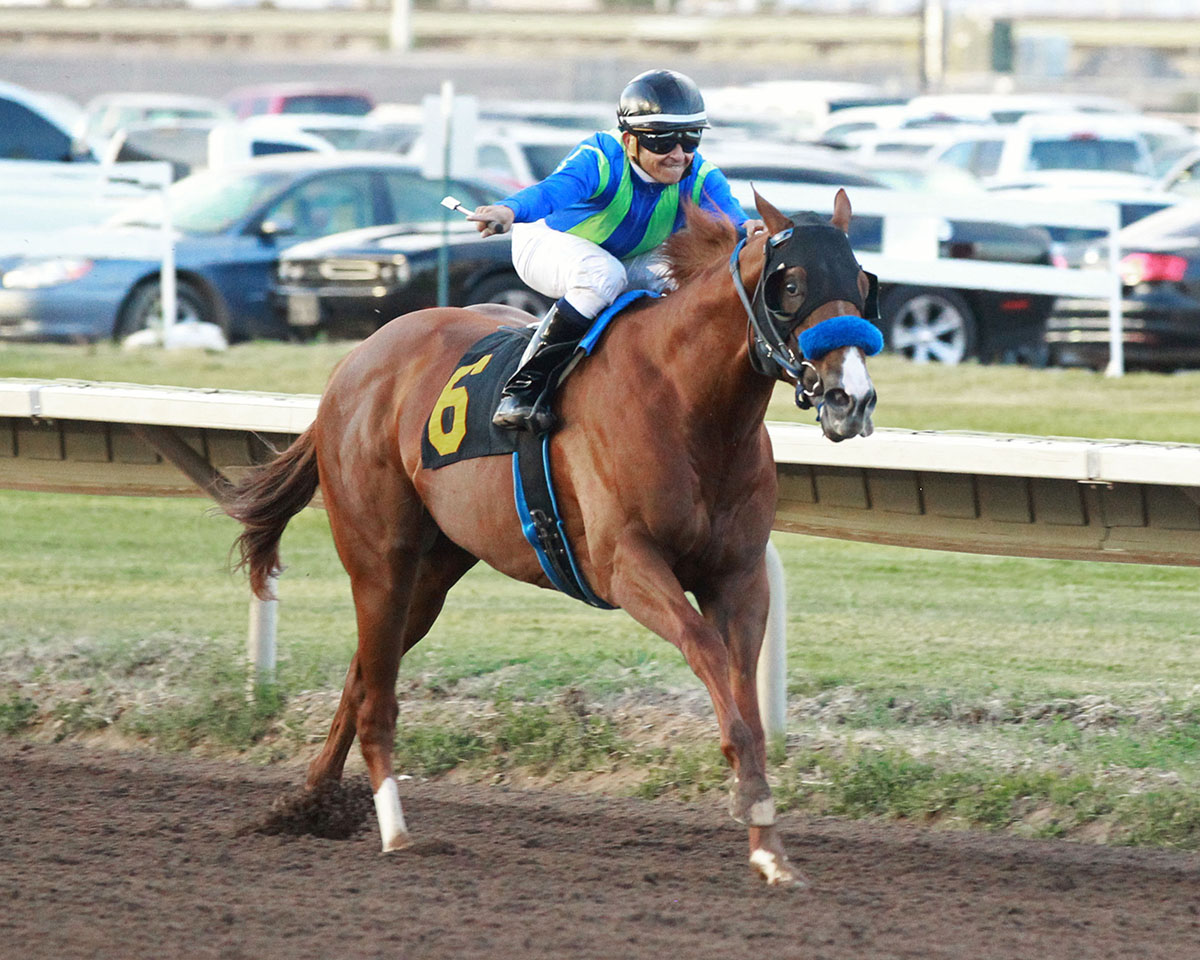 Secular Nation wins the 2018 Duke City Sprint Stakes