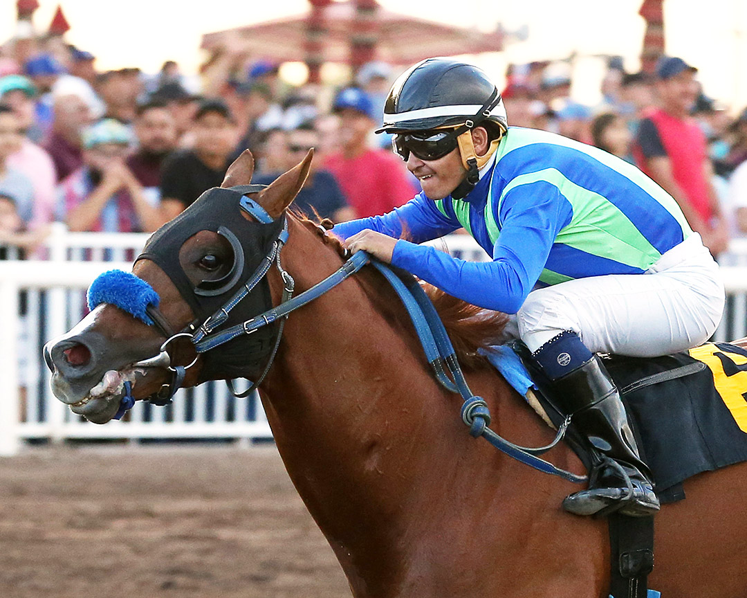 Secular Nation wins the 2019 Duke City Sprint at the Downs at Albuquerque