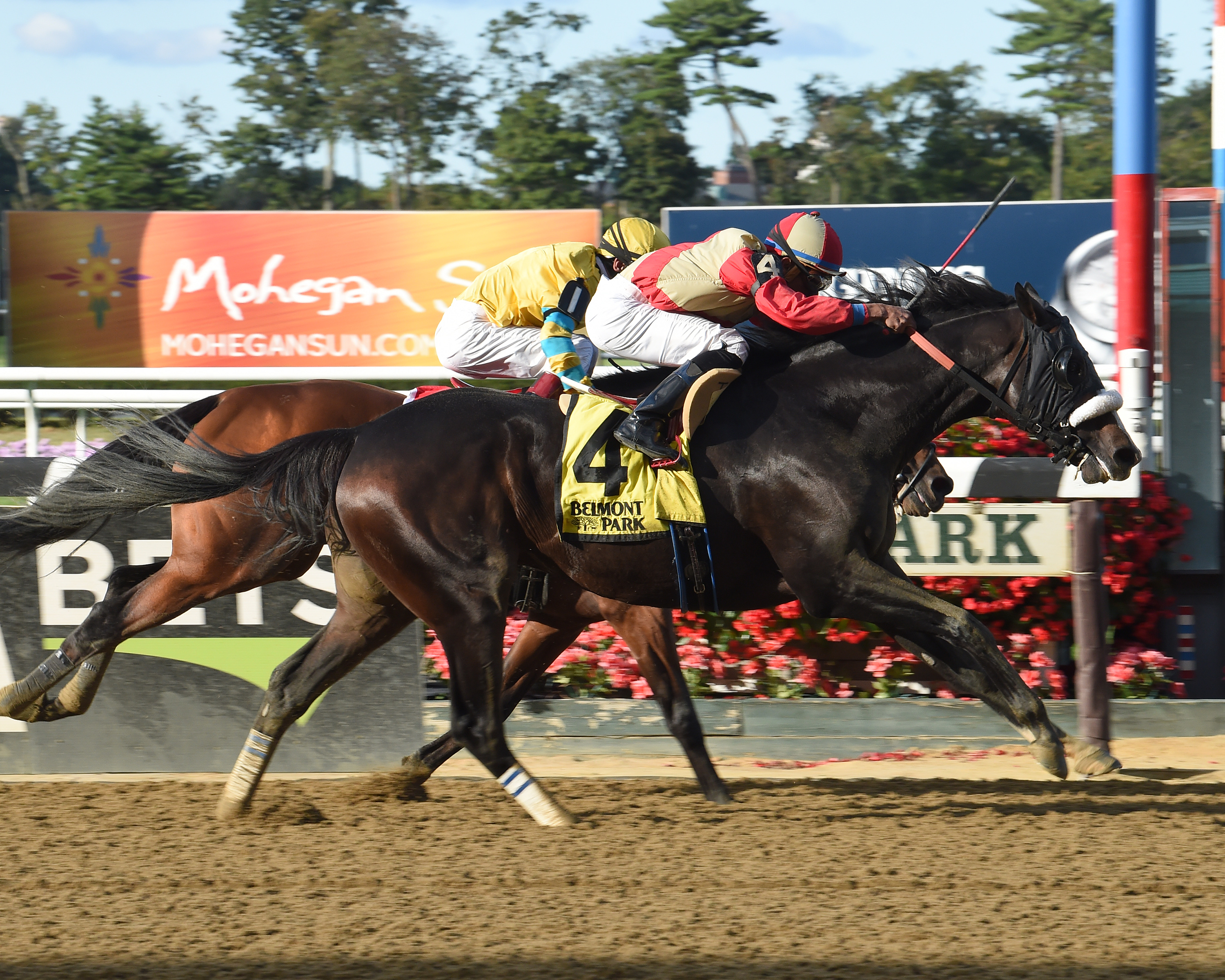 Securitiz wins the 2017 Seattle Slew Stakes at Belmont