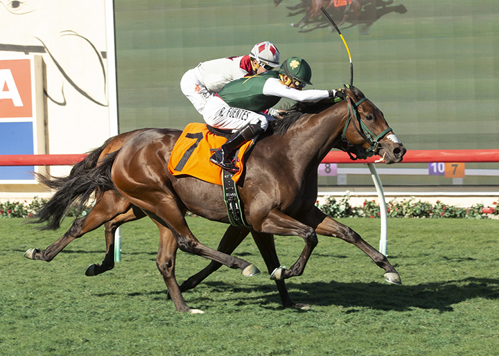 Sedamar wins a Nov. 10, 2018, maiden race at Del Mar