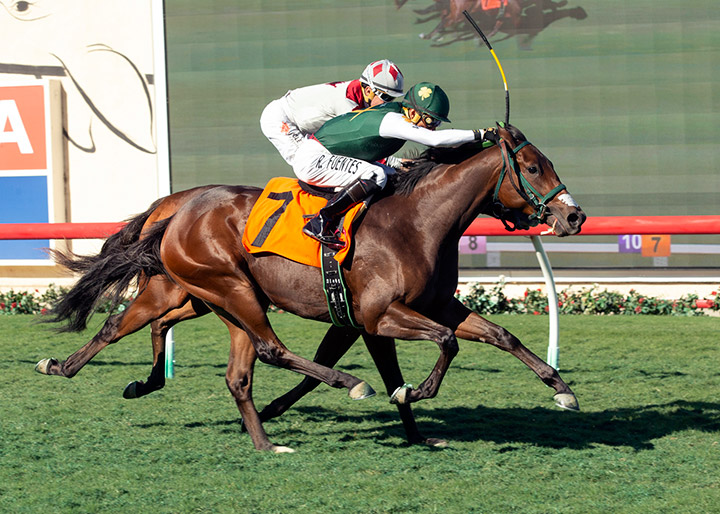 Sedamar wins a Nov. 10, 2018, maiden race at Del Mar