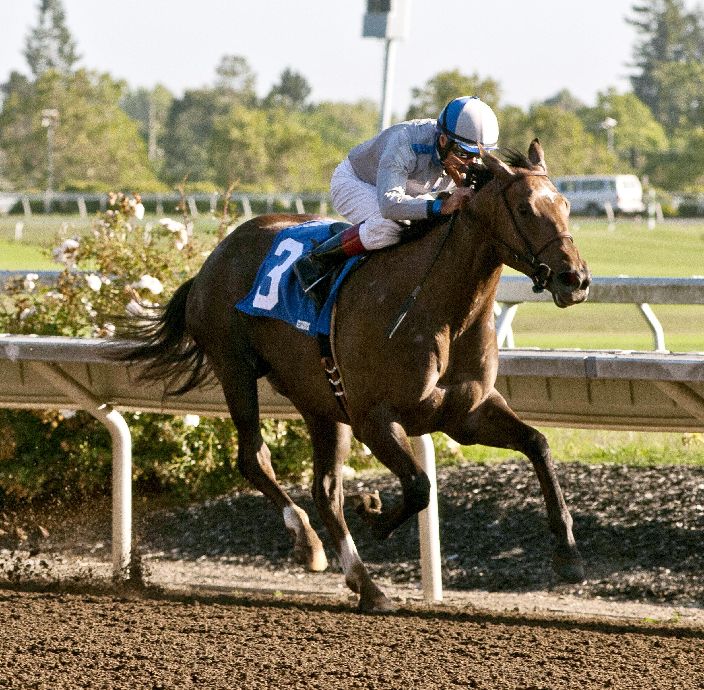 Seduire wins the Wine County Debutante Stakes
