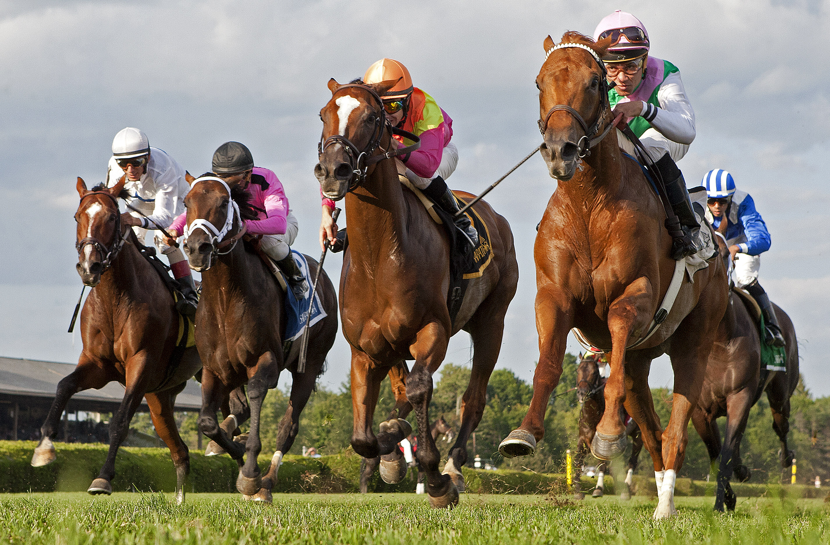 Seek Again wins 2014 Fourstardave