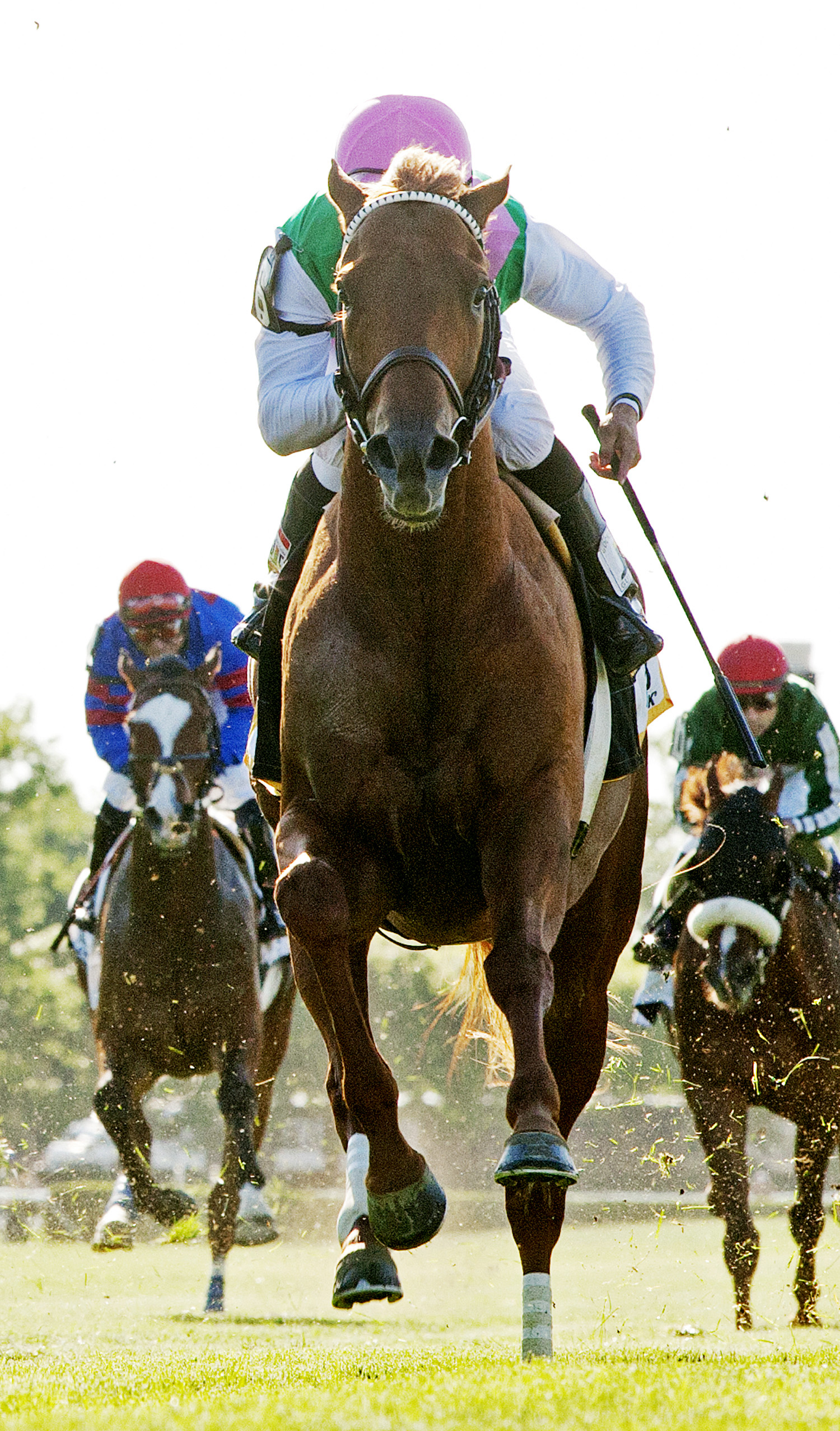 Seek Again finishes third in the Manhattan Stakes