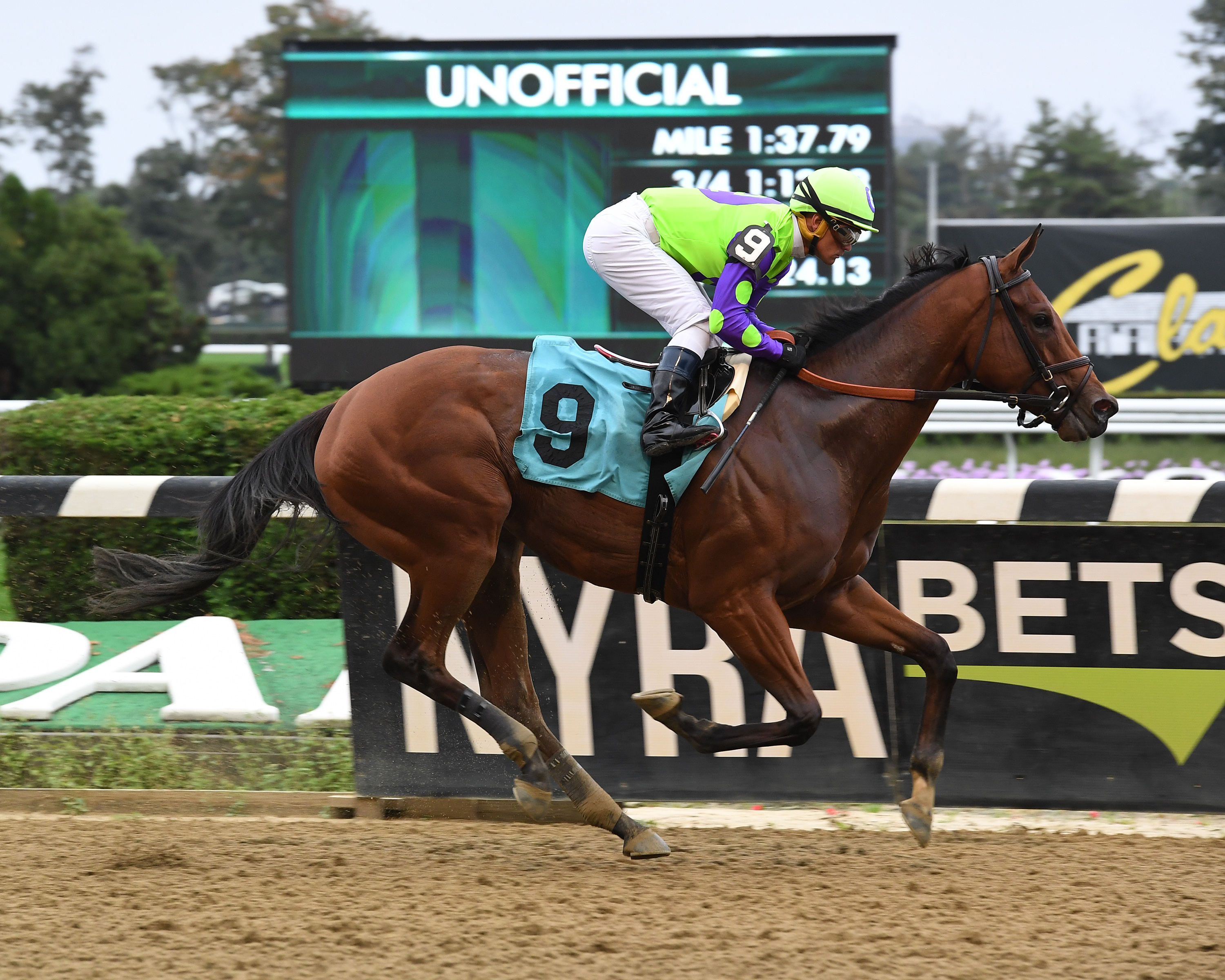 Seek and Destroy wins the 2018 Chelsey Flower