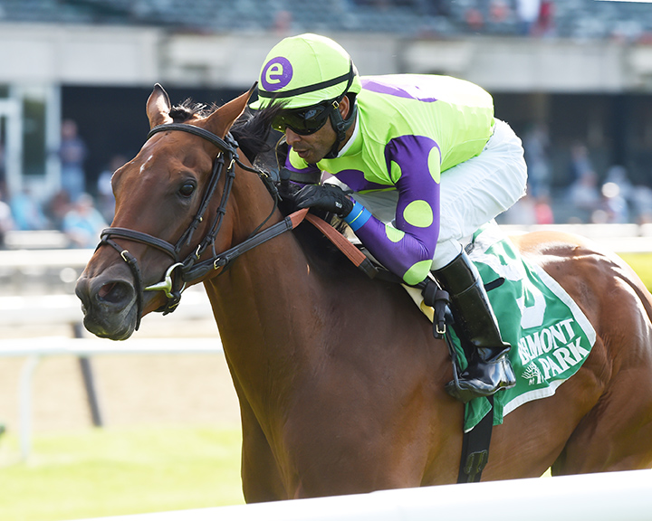 Seek and Destroy wins the 2019 Soaring Softly Stakes