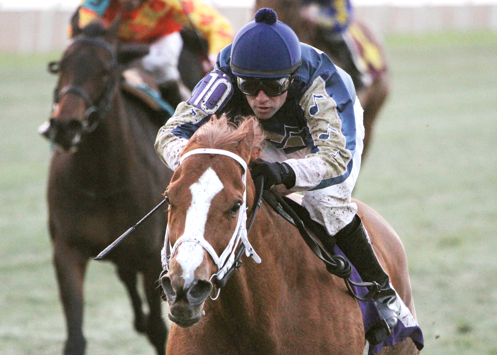 Seeking Ms Shelley wins the Pan Zareta Stakes